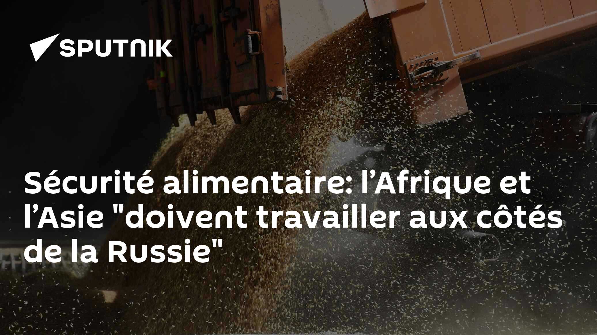 Sécurité alimentaire: l’Afrique et l’Asie "doivent travailler aux côtés de la Russie"
