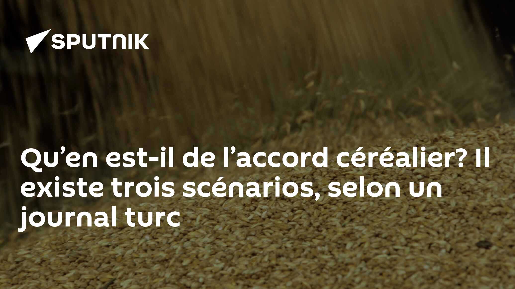 Qu’en estil de l’accord céréalier? Il existe trois scénarios, selon un