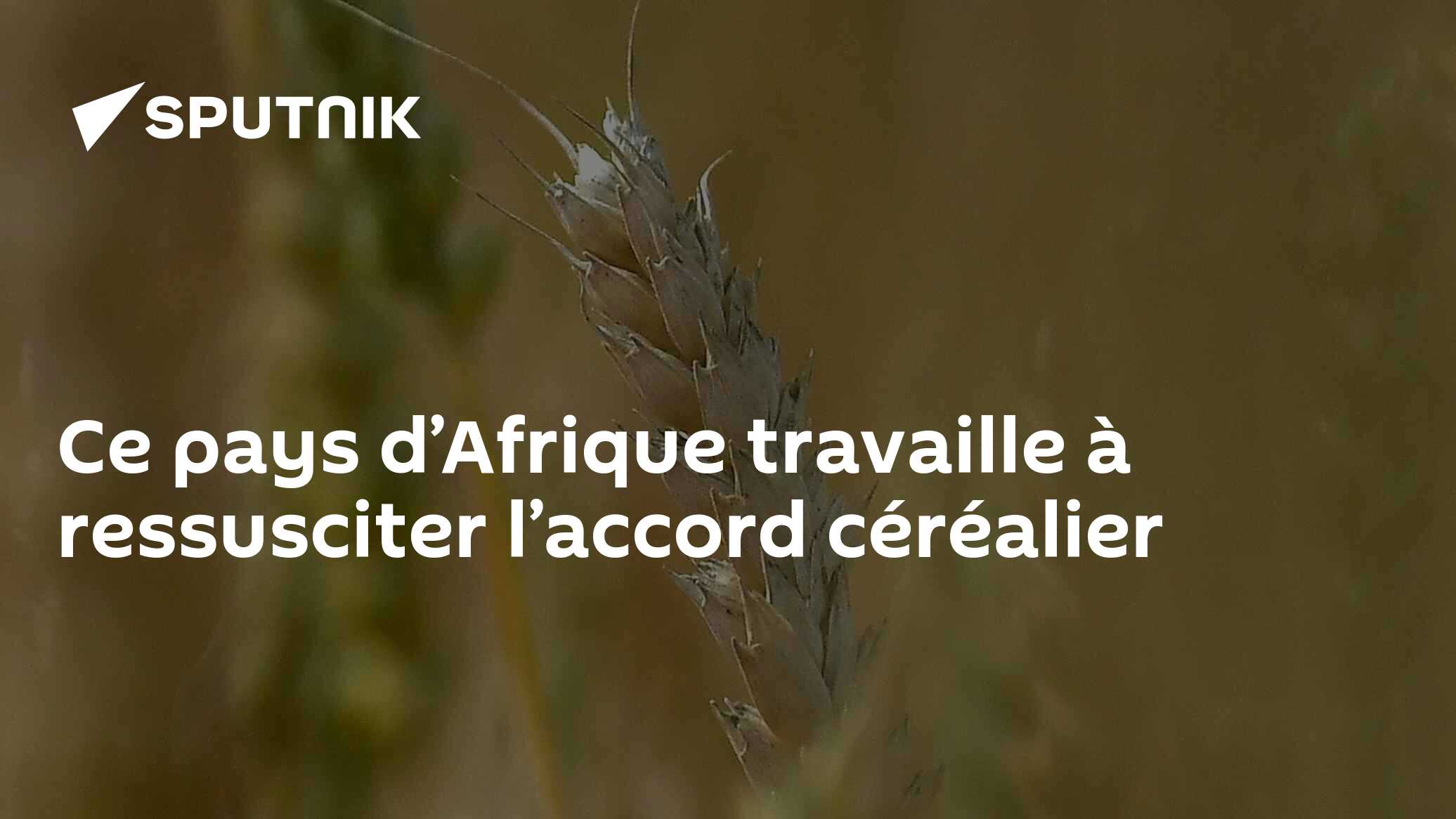 Ce pays d’Afrique travaille à ressusciter l’accord céréalier