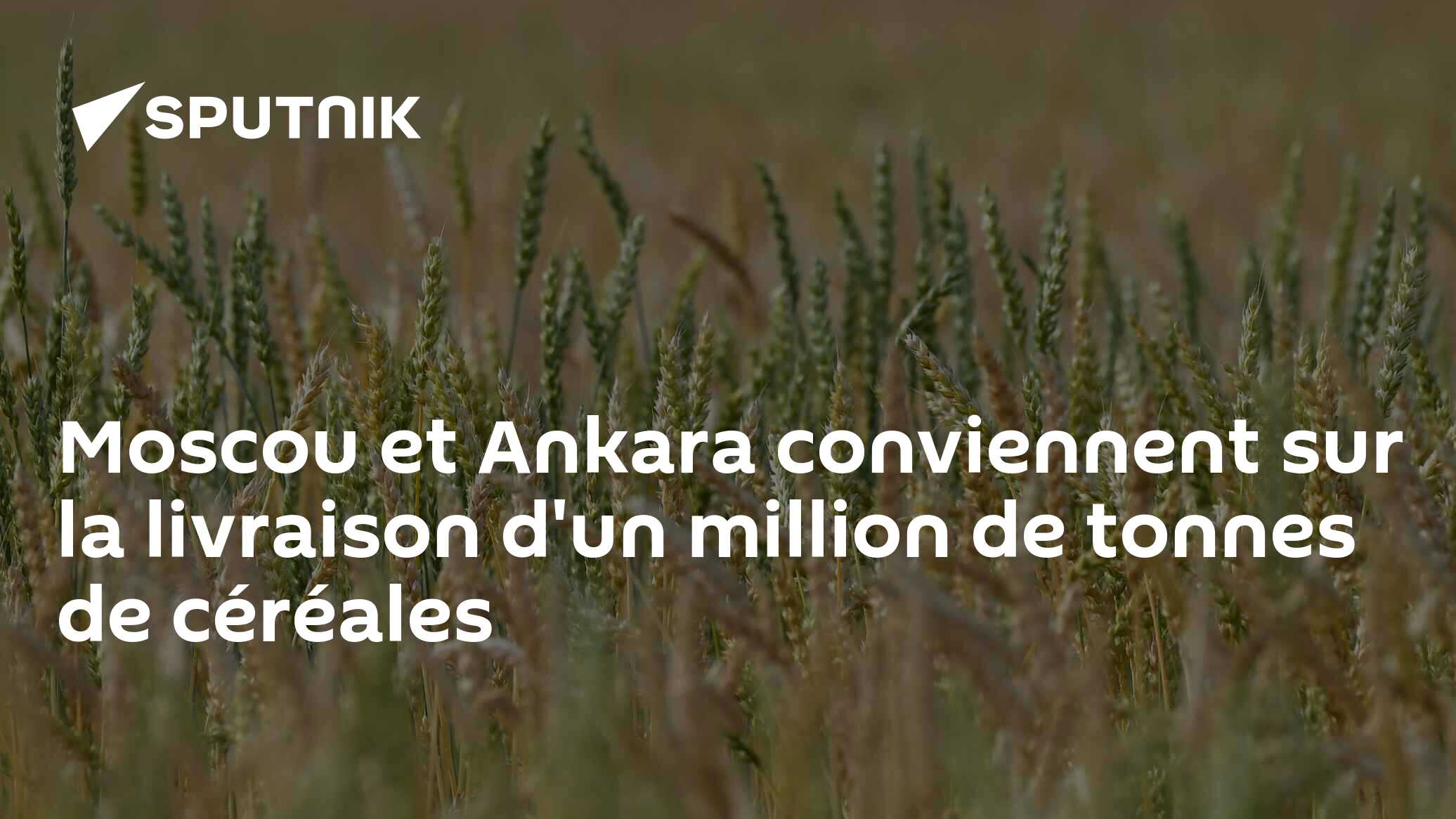 Moscou et Ankara conviennent sur la livraison d'un million de tonnes de céréales