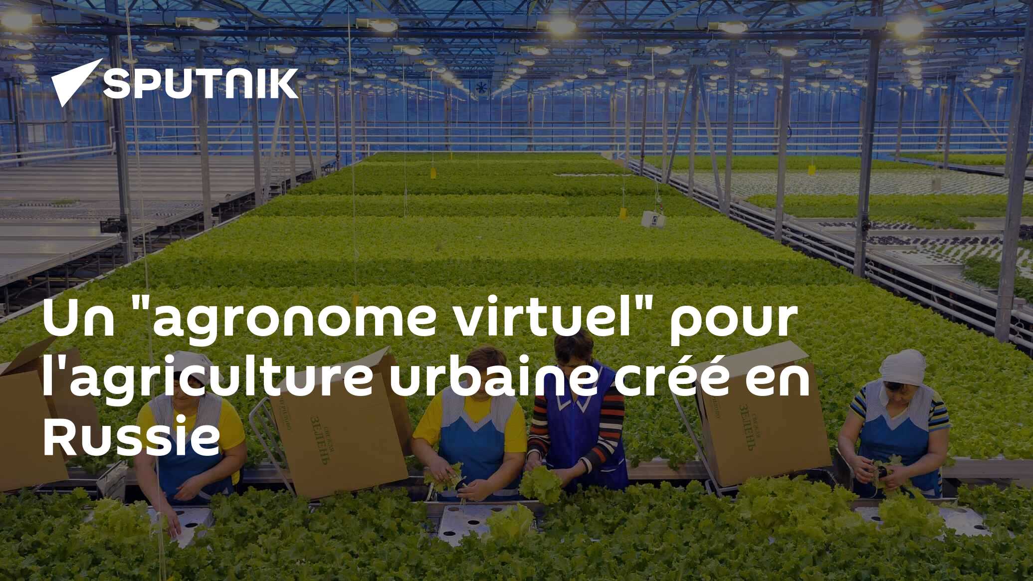 Un "agronome virtuel" pour l'agriculture urbaine créé en Russie