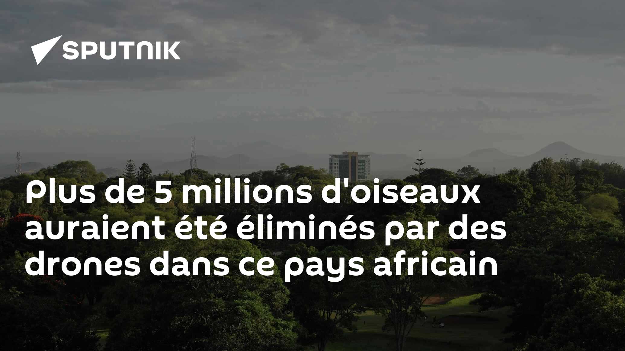 Ce pays africain utiliserait des drones pour protéger les cultures vivrières