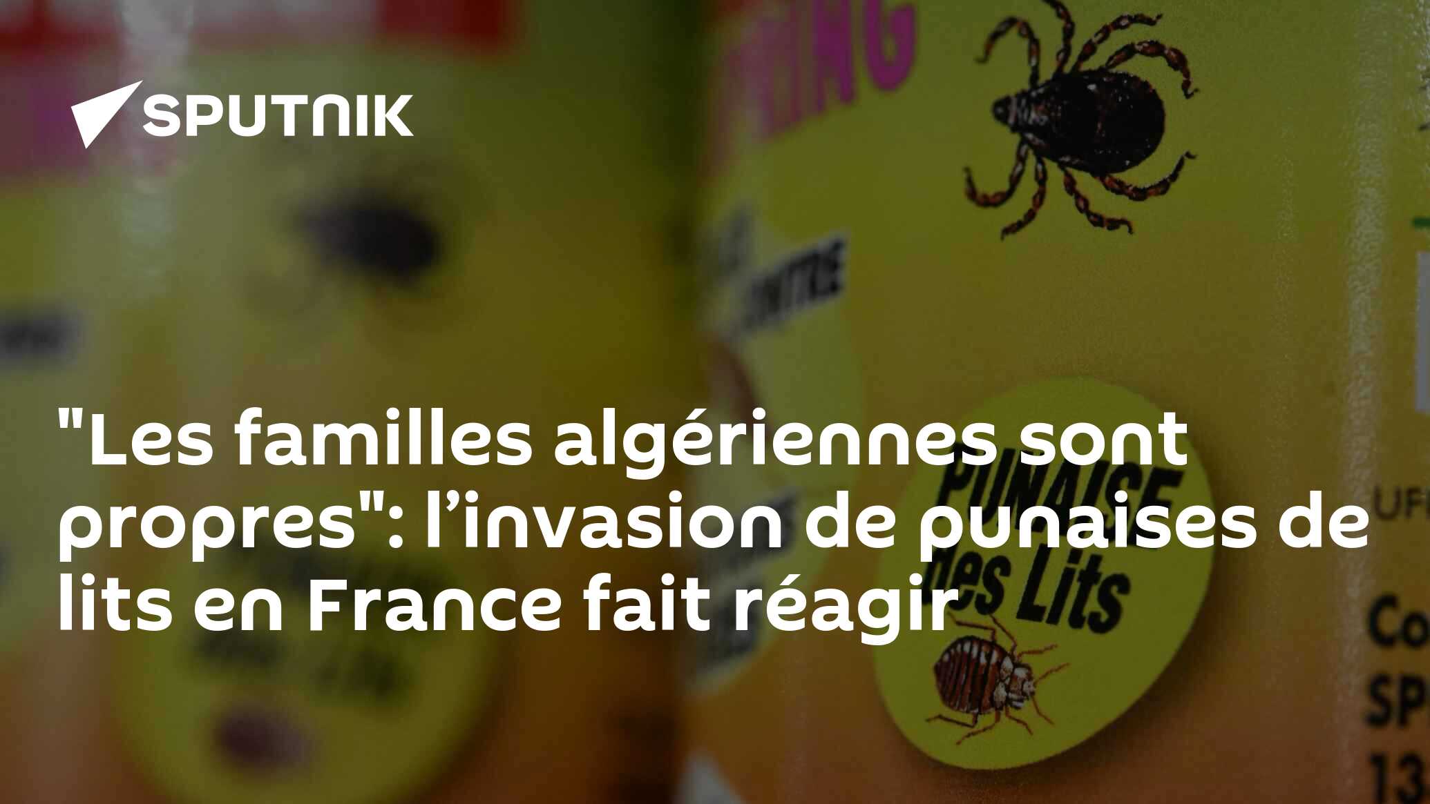 "Les familles algériennes sont propres": l’invasion de punaises de lits en France fait réagir