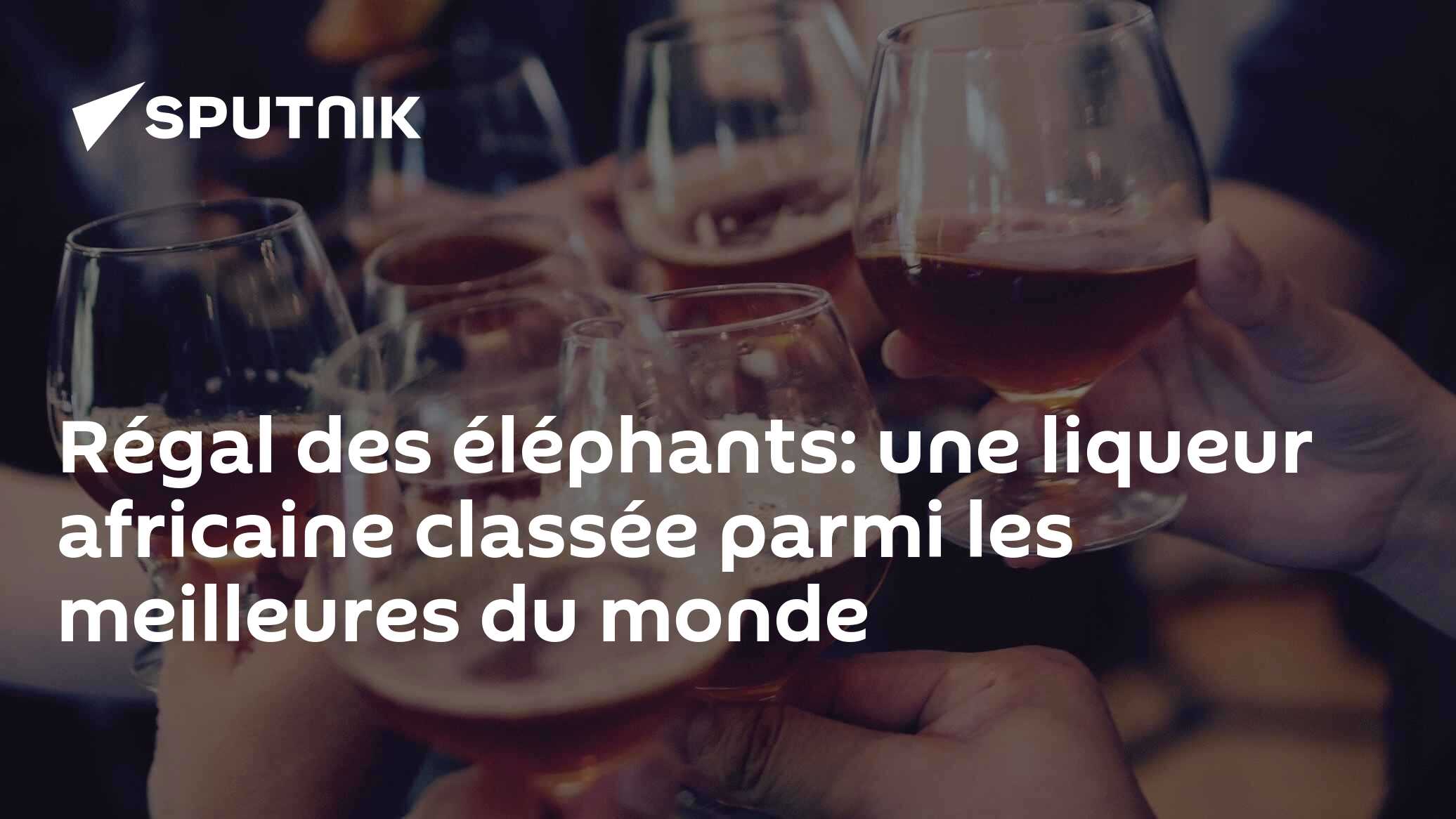 Régal des éléphants: une liqueur africaine classée parmi les meilleures du monde