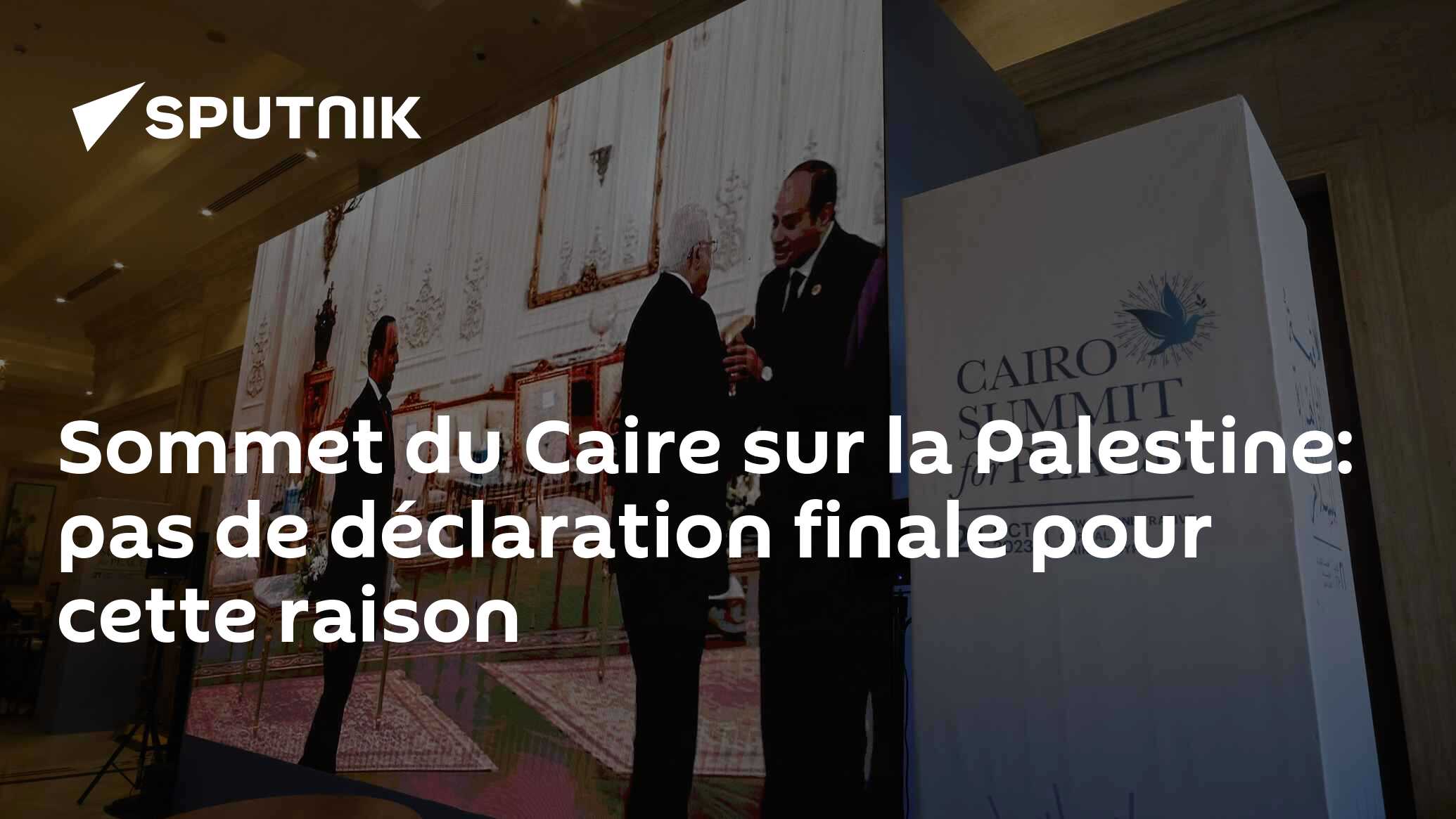 Sommet du Caire sur la Palestine: pas de déclaration finale pour cette raison