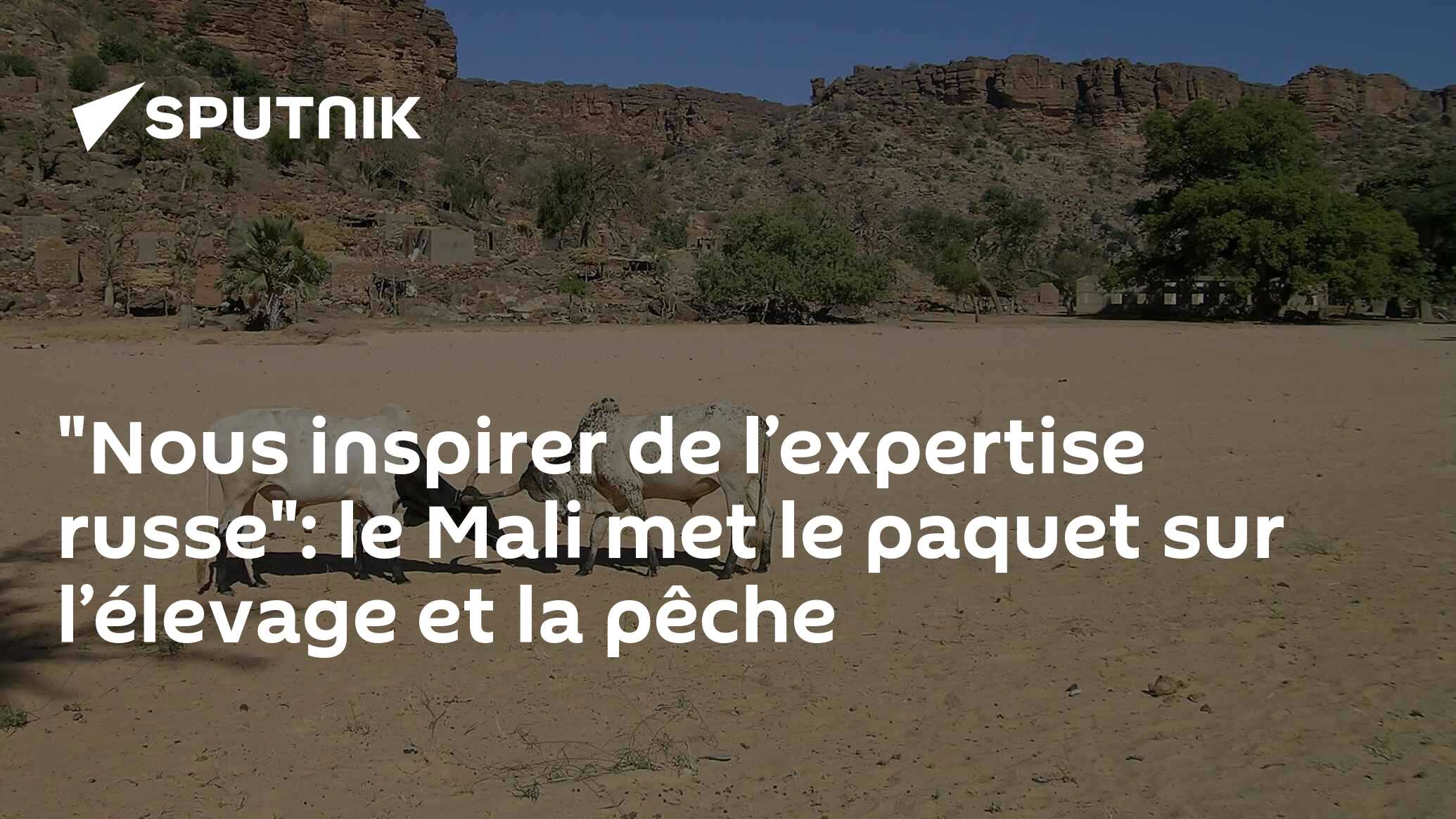 "Nous inspirer de l’expertise russe": le Mali met le paquet sur l’élevage et la pêche