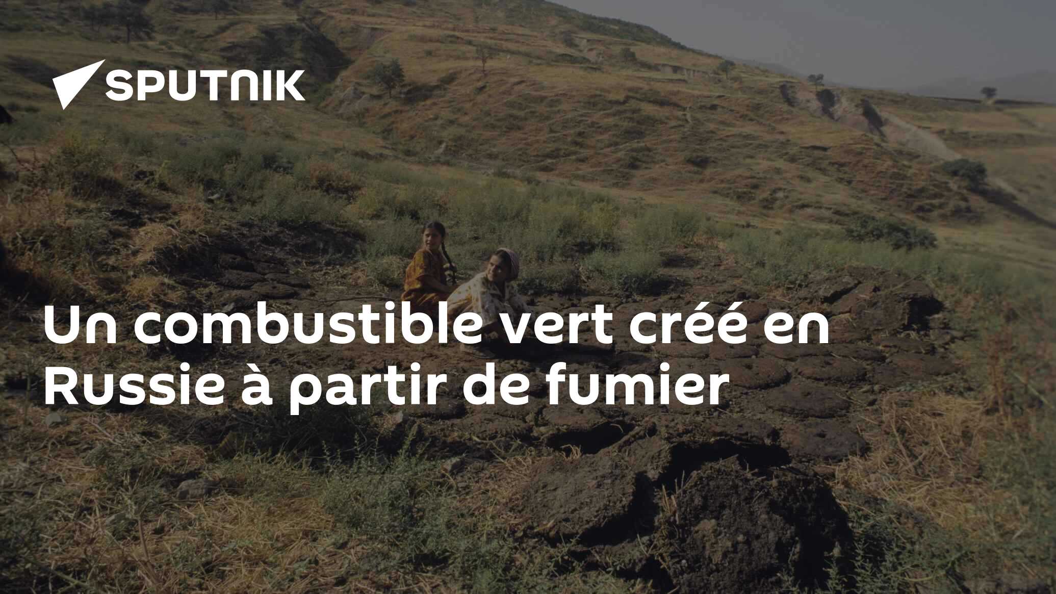 Un combustible vert créé en Russie à partir de fumier