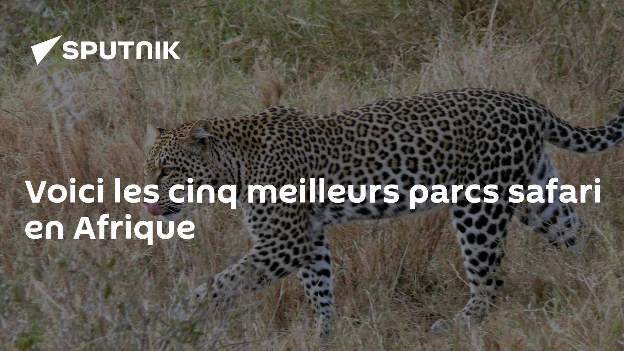 Voici les cinq meilleurs parcs safari en Afrique