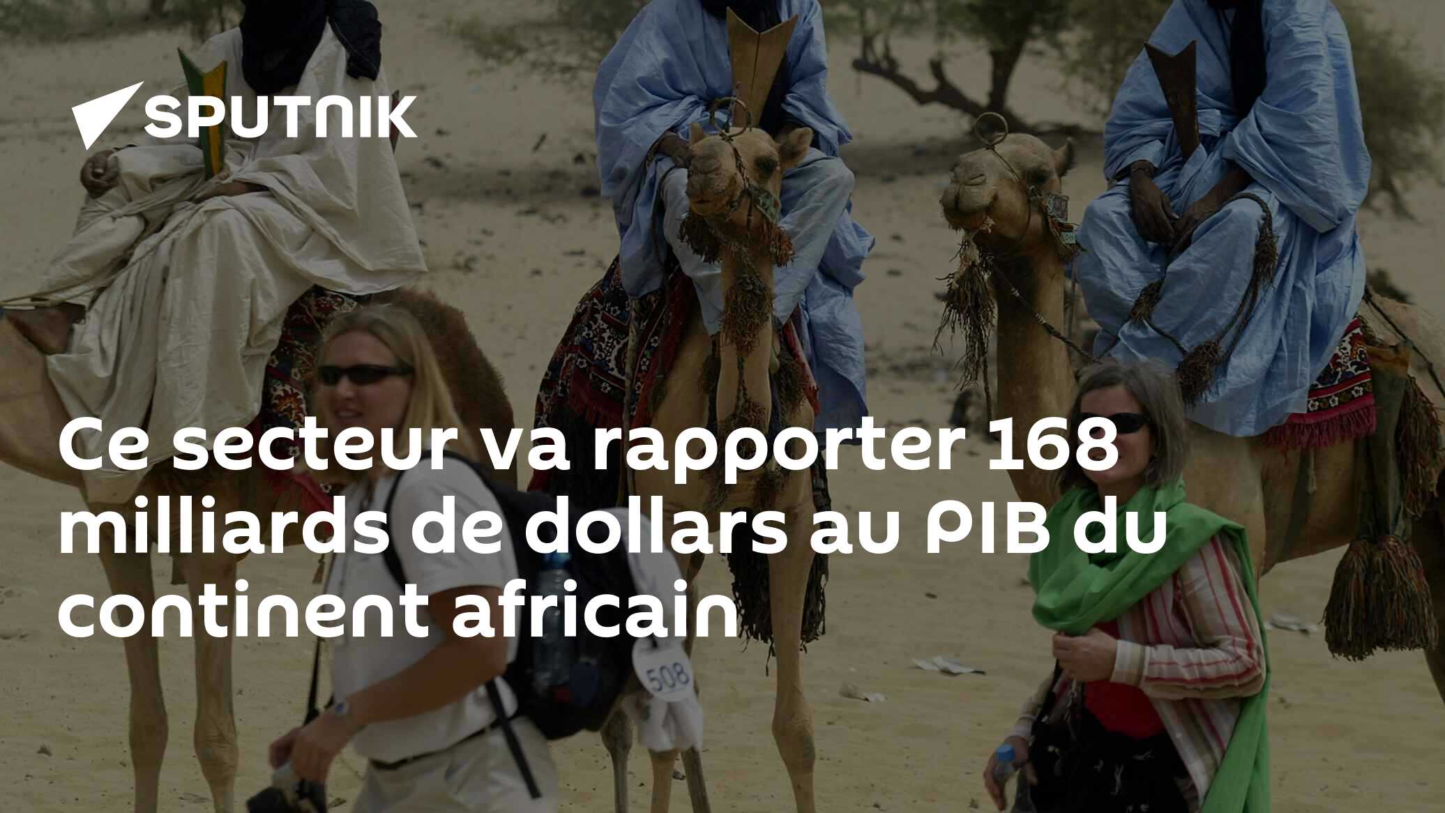 Ce secteur va rapporter 168 milliards de dollars au PIB du continent africain