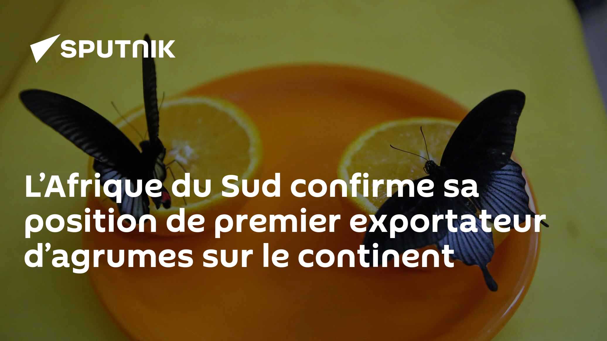 L’Afrique du Sud confirme sa position de premier exportateur d’agrumes sur le continent