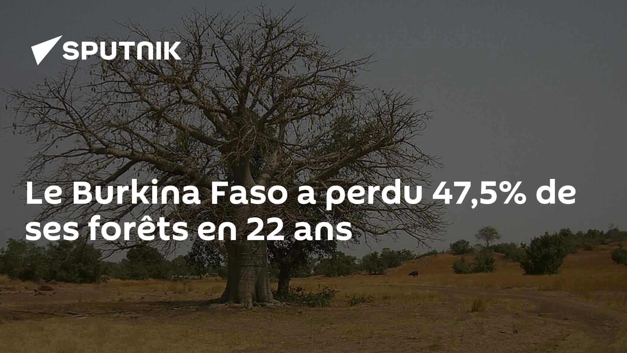 Le Burkina Faso a perdu 47,5% de ses forêts en 22 ans