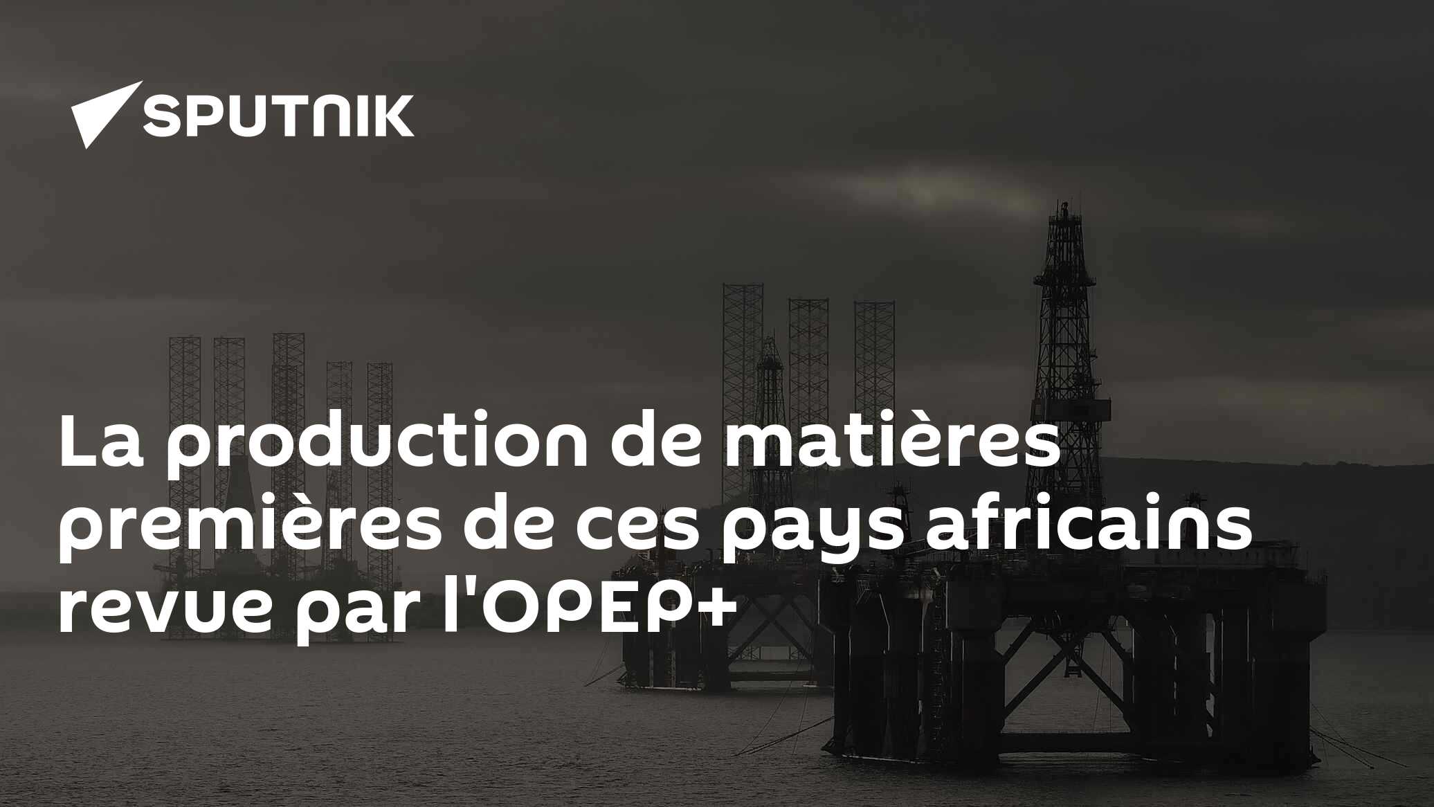 La production de matières premières de ces pays africains revue par l'OPEP+