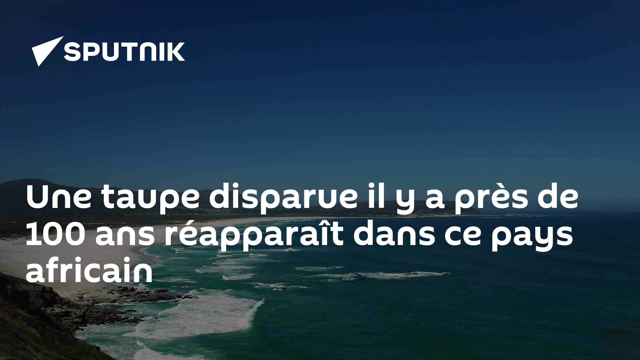 Une taupe disparue il y a près de 100 ans réapparaît dans ce pays africain