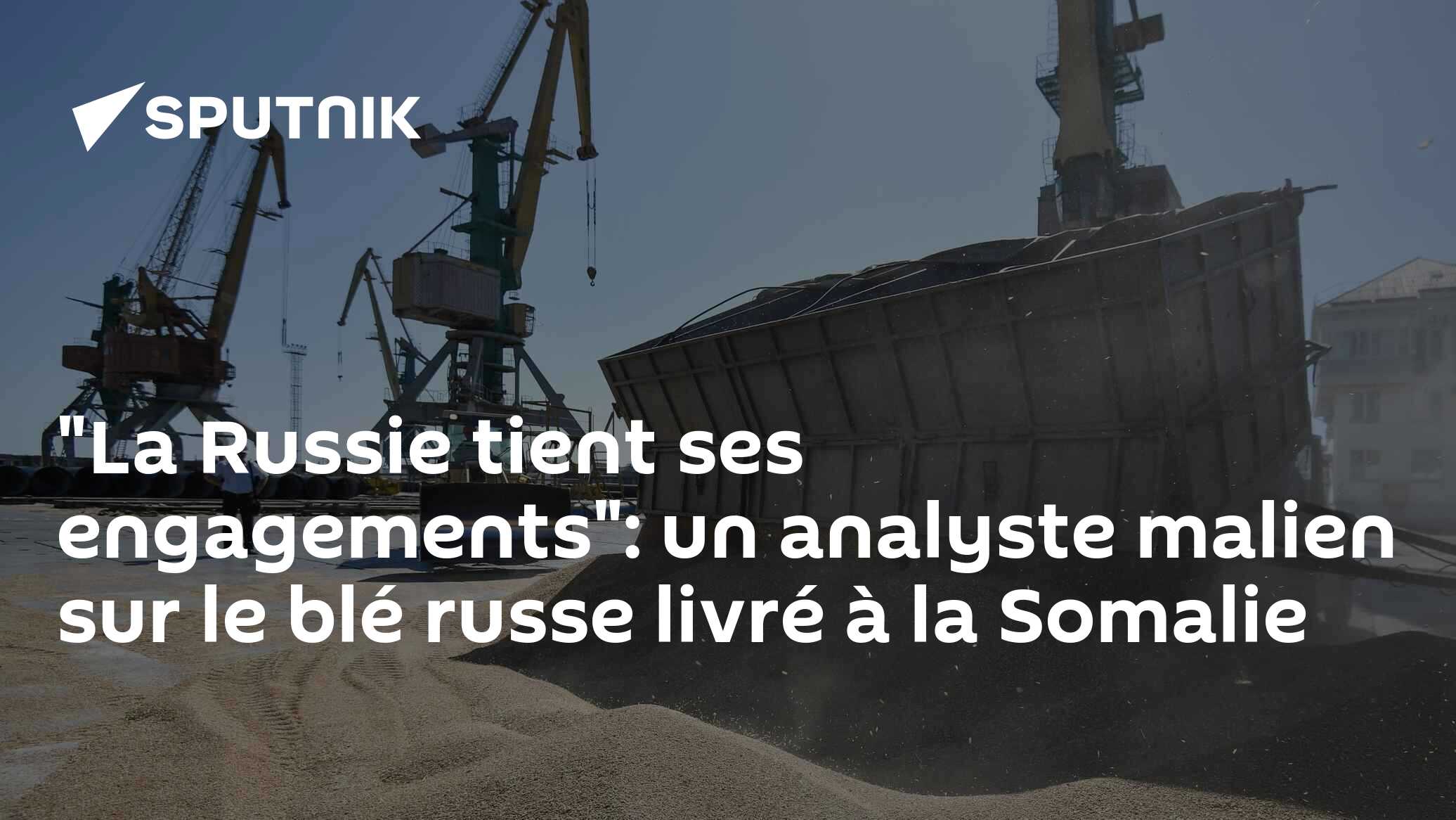 "La Russie tient ses engagements": un analyste malien sur le blé russe livré à la Somalie