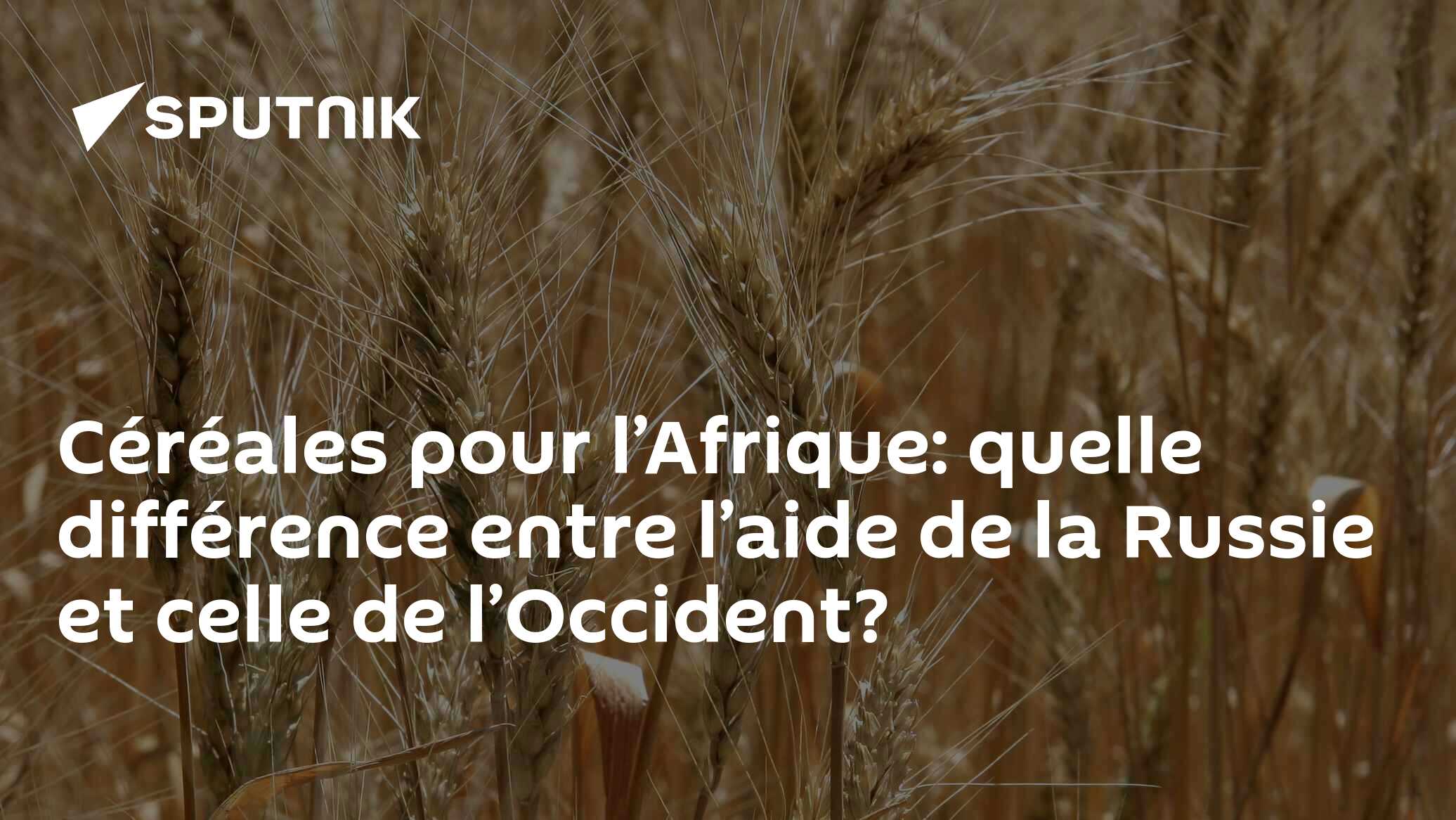 Céréales pour l’Afrique: quelle différence entre l’aide de la Russie et celle de l’Occident?