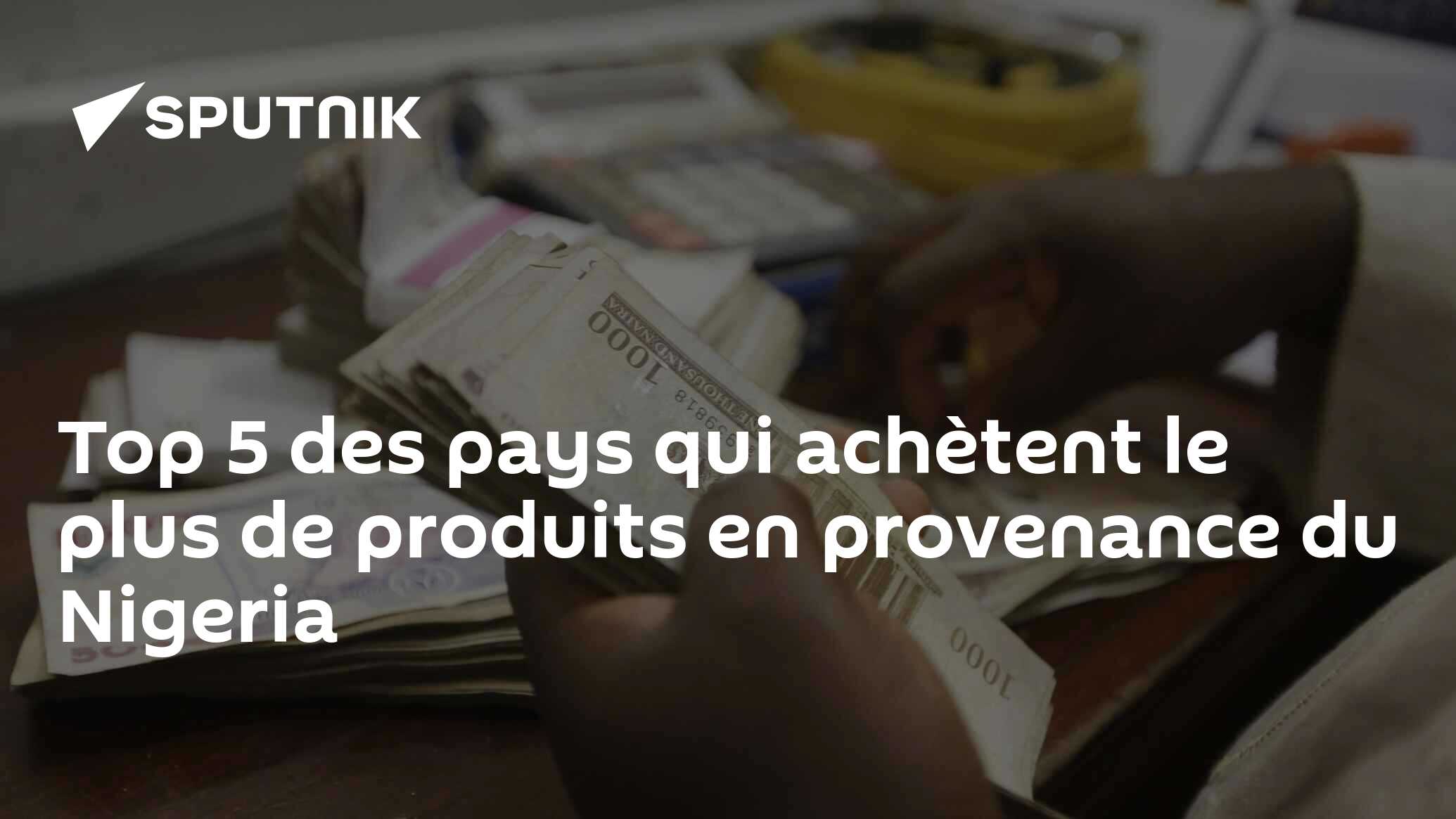 Top 5 des pays qui achètent le plus de produits en provenance du Nigeria