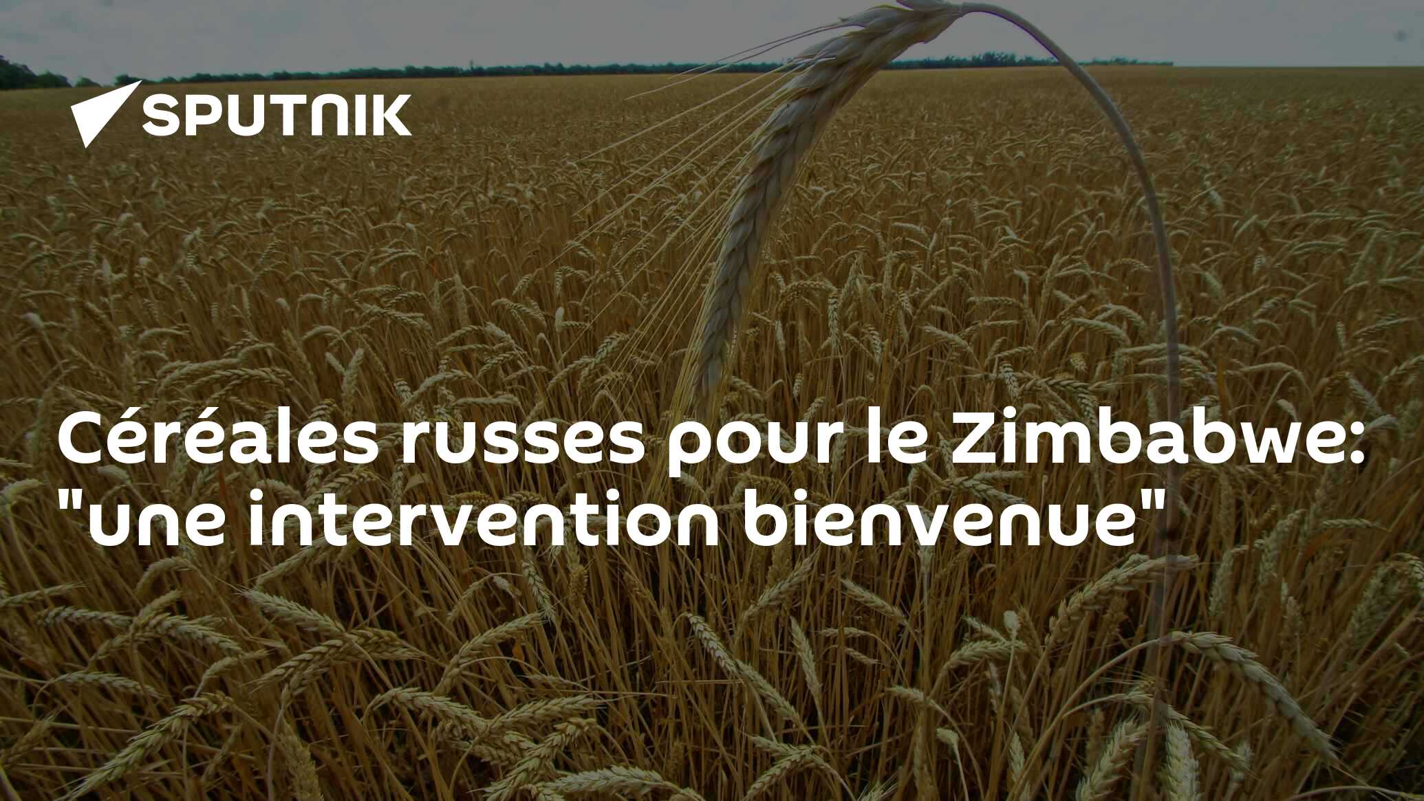 Céréales russes pour le Zimbabwe: "une intervention bienvenue"