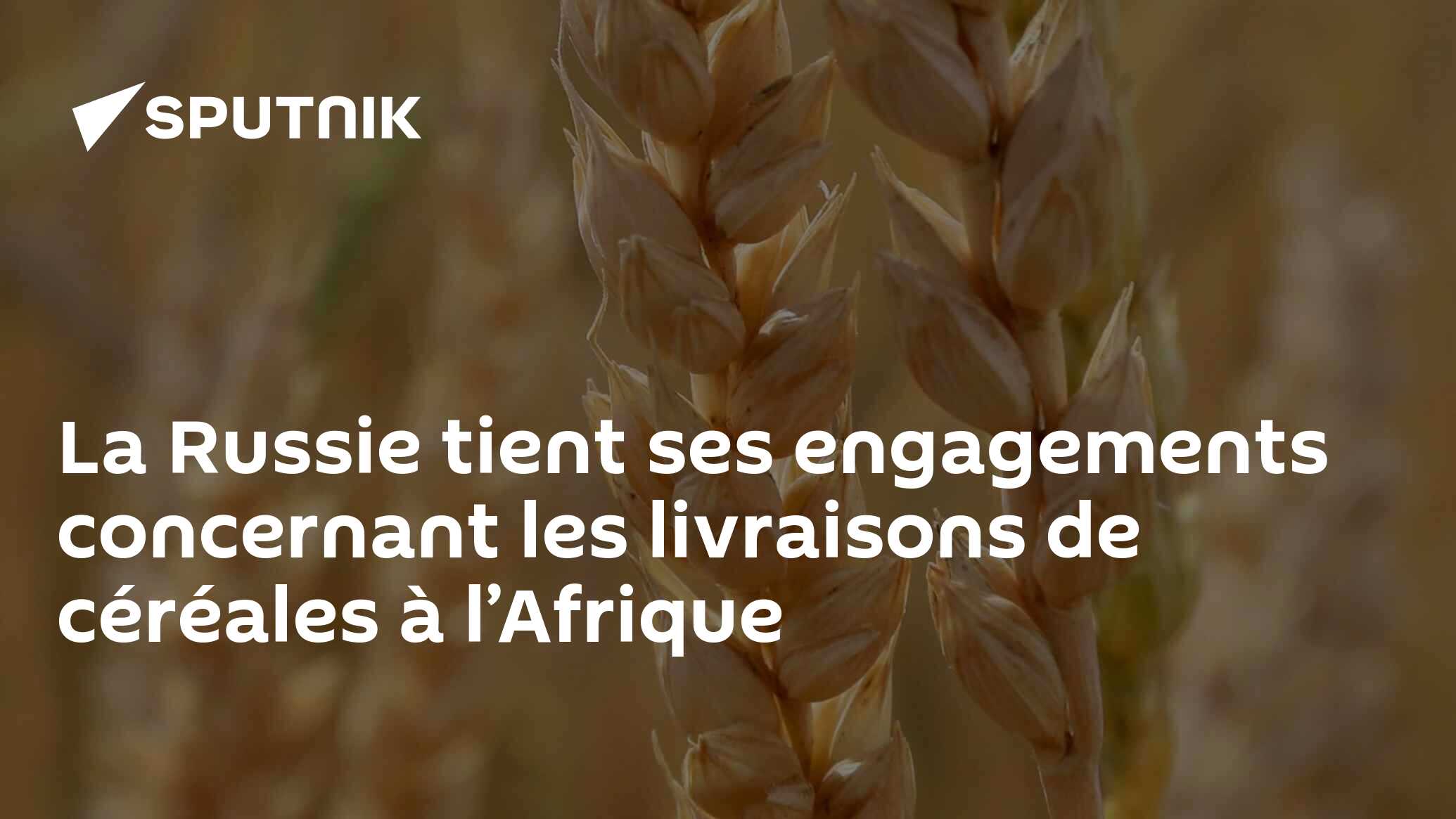 La Russie tient ses engagements concernant les livraisons de céréales à l’Afrique
