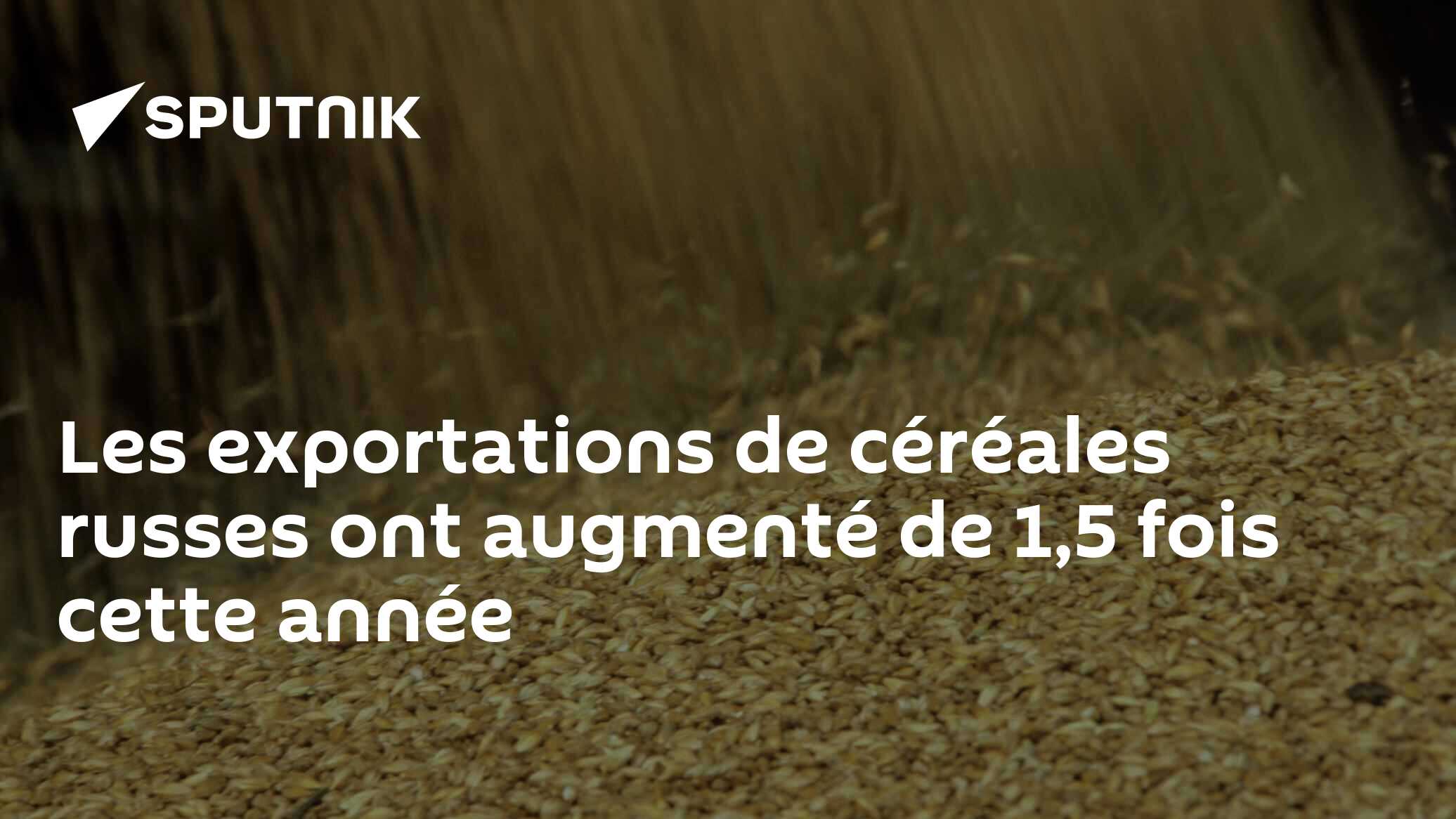 Les exportations de céréales russes ont augmenté de 1,5 fois cette année