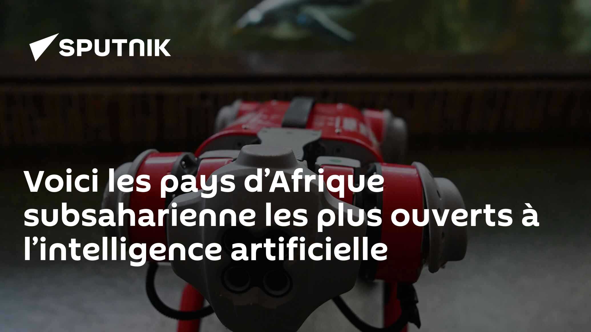 Voici Les Pays Dafrique Subsaharienne Les Plus Ouverts à Lintelligence Artificielle 3012 