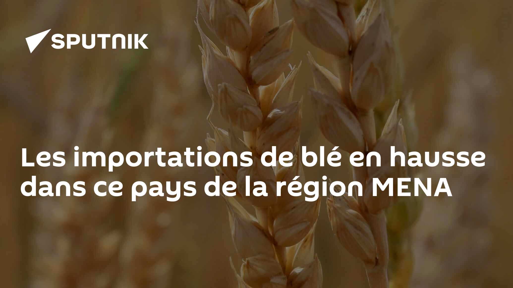 Les importations de blé en hausse dans ce pays de la région MENA