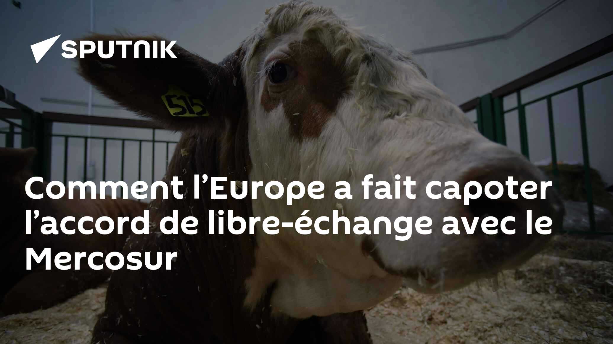 Comment L’Europe A Fait Capoter L’accord De Libre-échange Avec Le ...