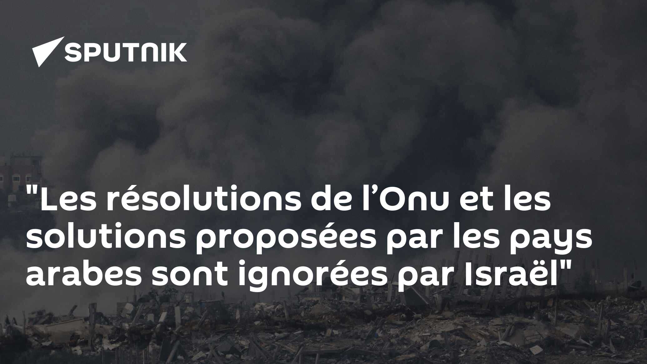"Les résolutions de l’Onu et les solutions proposées par les pays arabes sont ignorées par Israël"