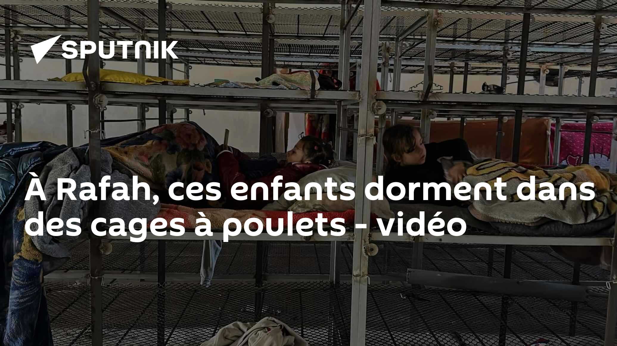 À Rafah, ces enfants dorment dans des cages à poulets - vidéo
