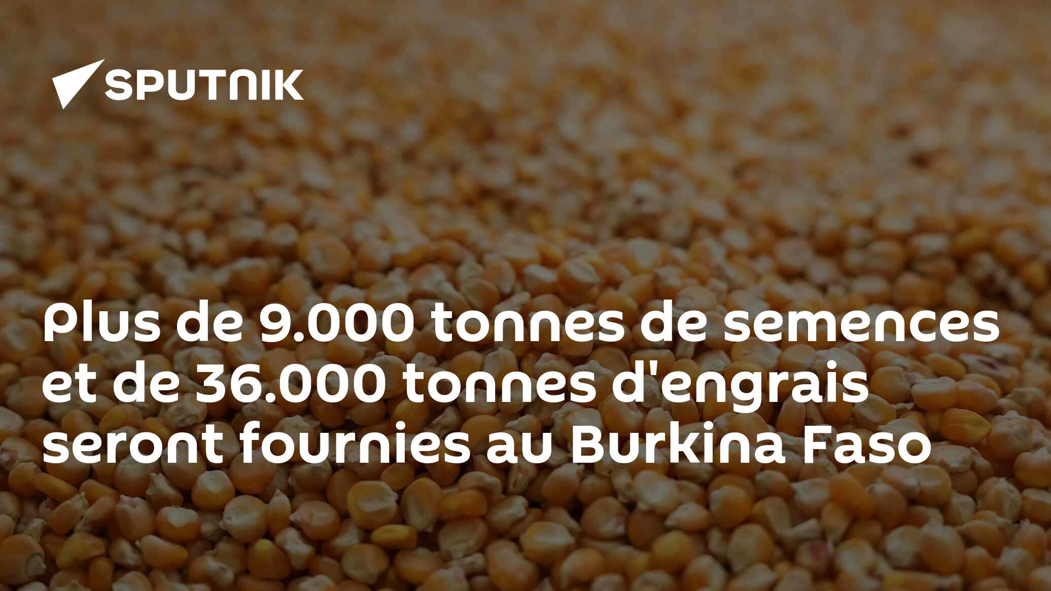 Plus de 9.000 tonnes de semences et de 36.000 tonnes d'engrais seront fournies au Burkina Faso