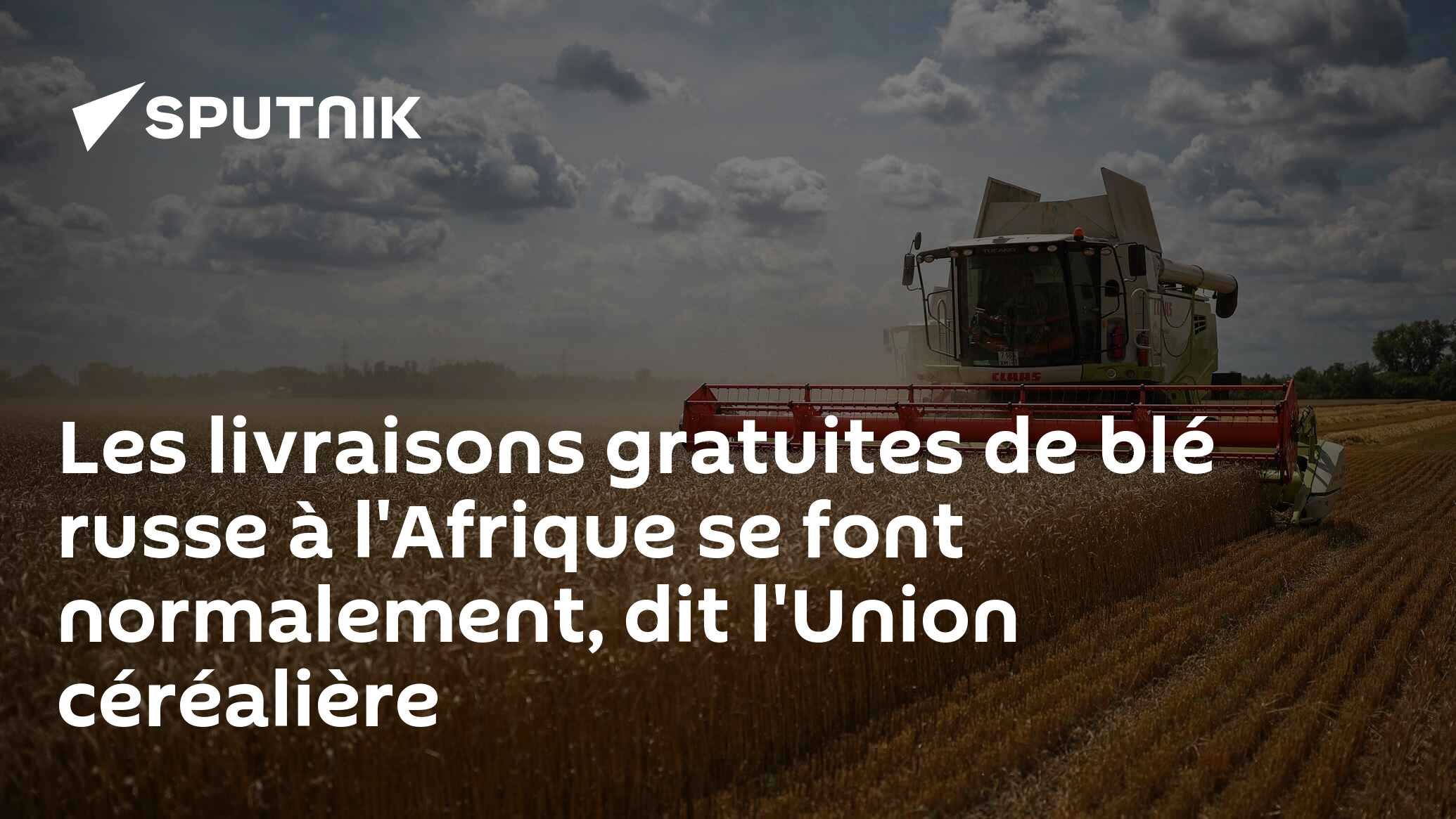 Les livraisons gratuites de blé russe à l'Afrique se font normalement, dit l'Union céréalière
