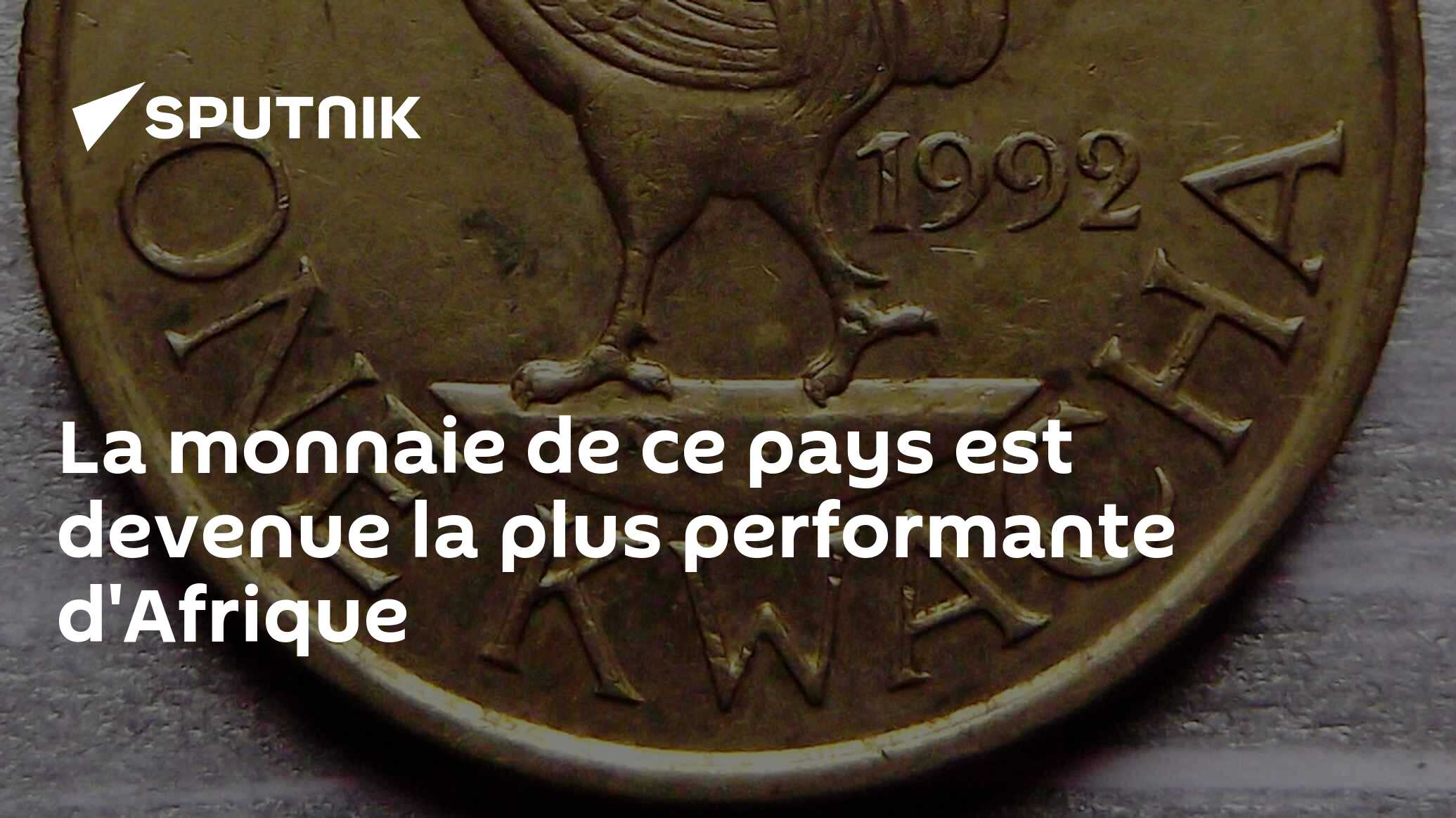 La monnaie de ce pays est devenue la plus performante d'Afrique