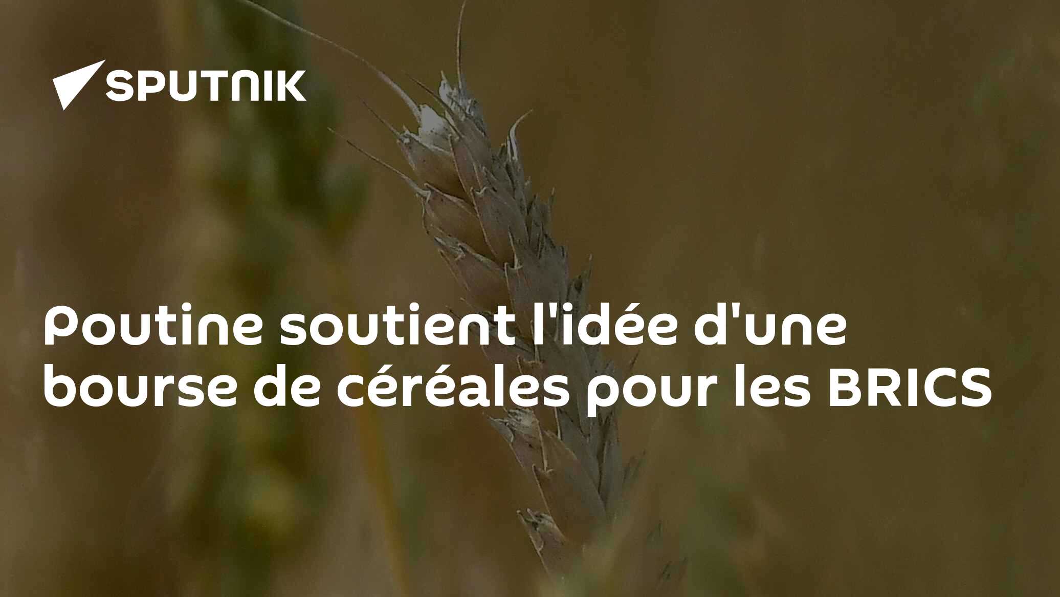 Poutine soutient l'idée d'une bourse de céréales pour les BRICS