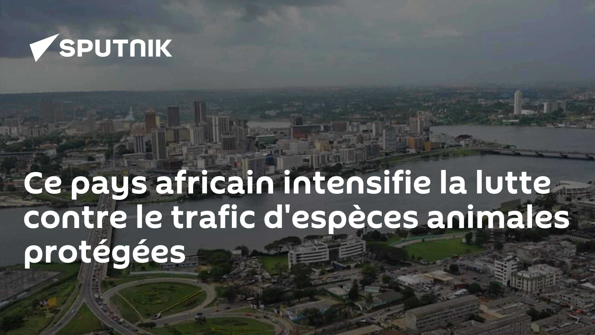 Ce pays africain intensifie la lutte contre le trafic d'espèces animales protégées