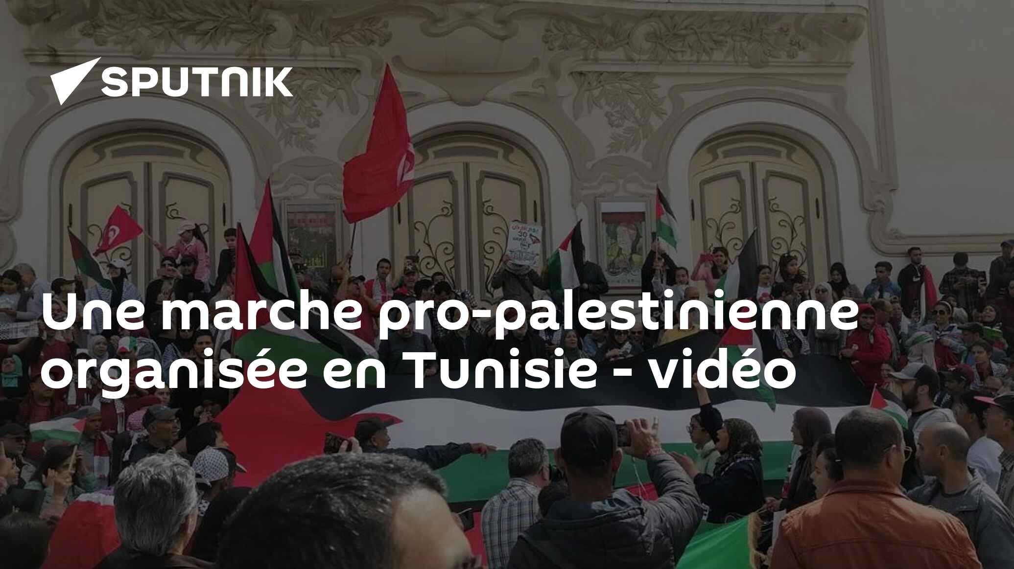 Une marche pro-palestinienne organisée en Tunisie - vidéo