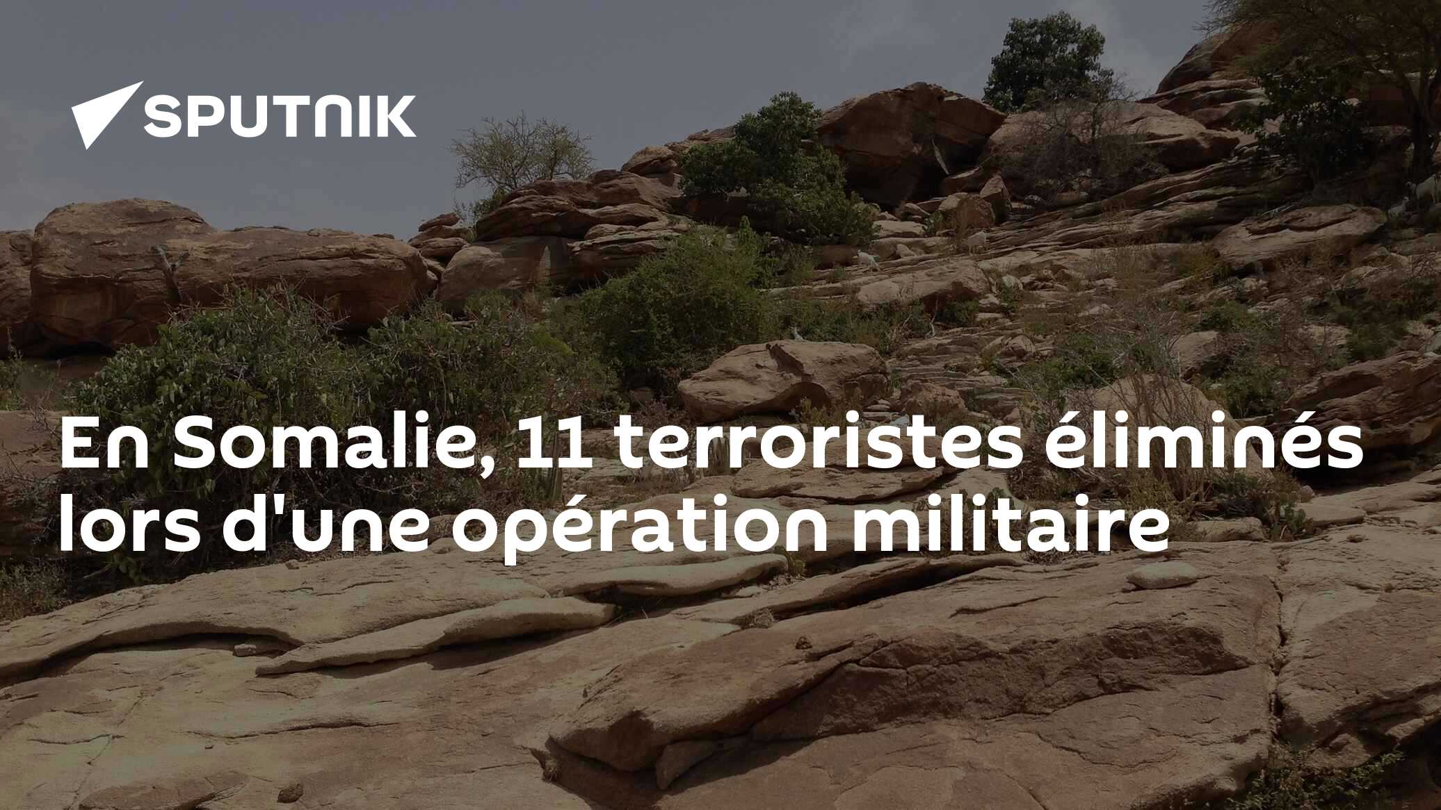 En Somalie, 11 terroristes éliminés lors d'une opération militaire
