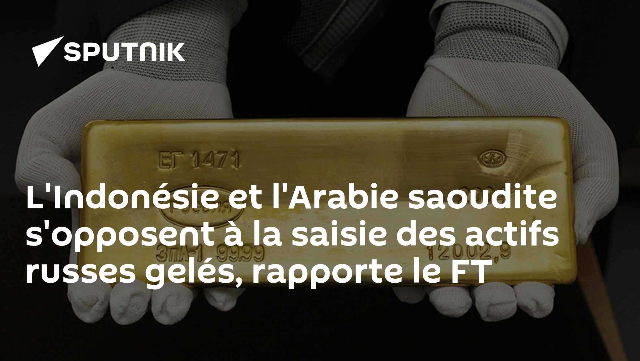 L'Indonésie et l'Arabie saoudite s'opposent à la saisie des actifs russes gelés, rapporte le FT