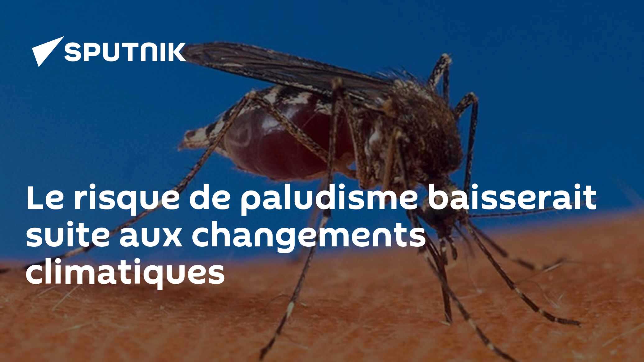 Le risque de paludisme baisserait suite aux changements climatiques