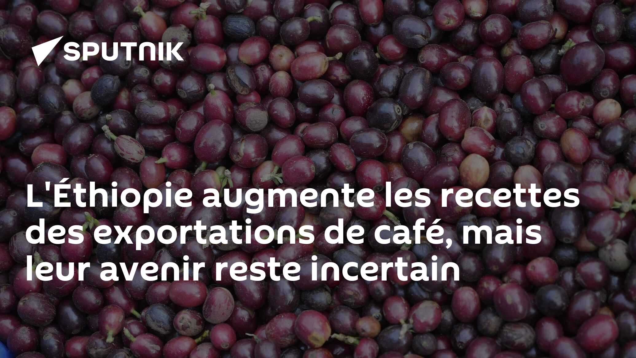L'Éthiopie augmente les recettes des exportations de café, mais leur avenir reste incertain