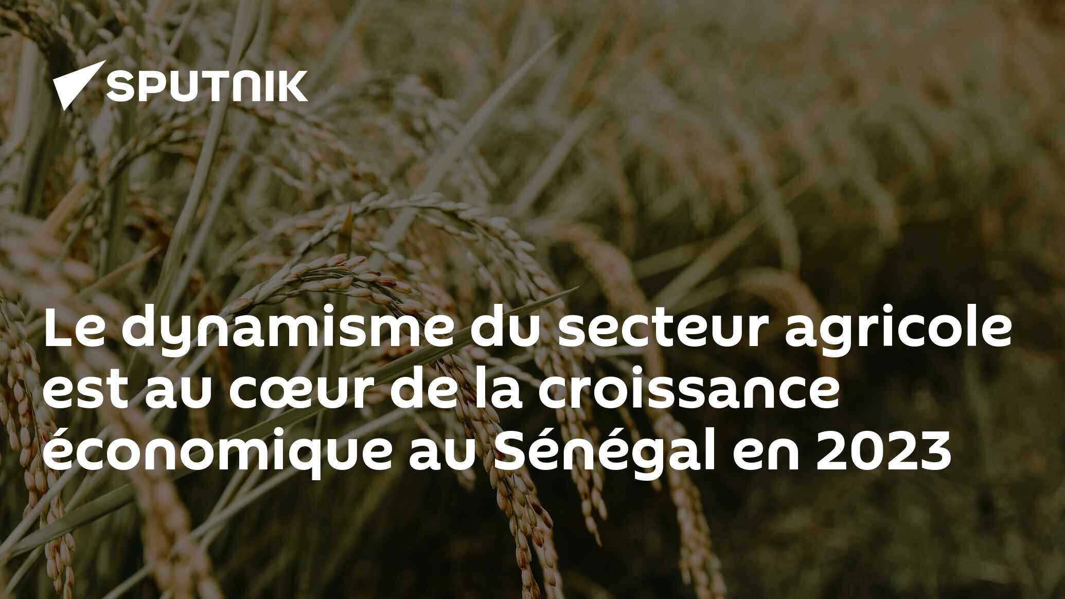 Le dynamisme du secteur agricole est au cœur de la croissance économique au Sénégal en 2023