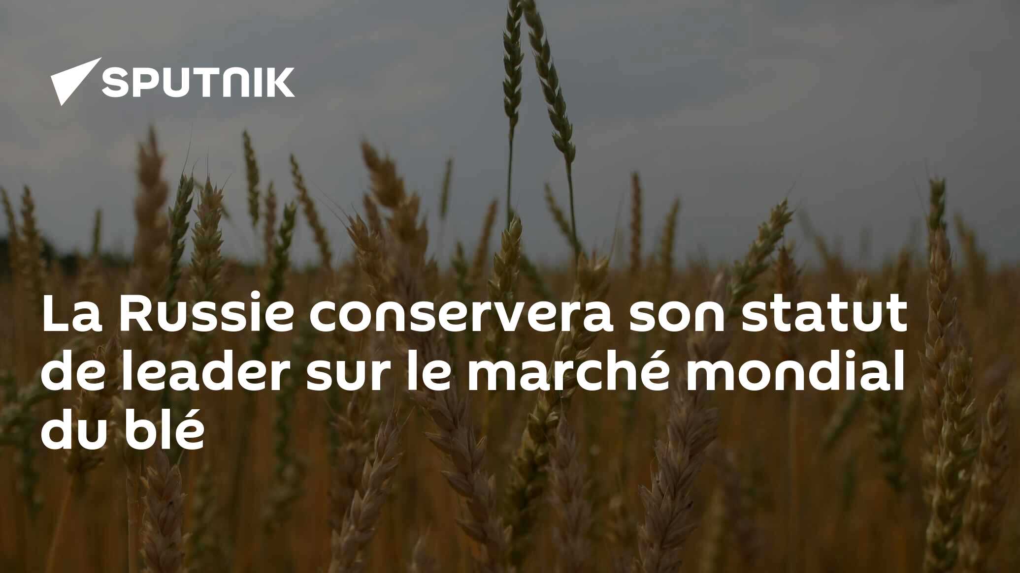 La Russie conservera son statut de leader sur le marché mondial du blé