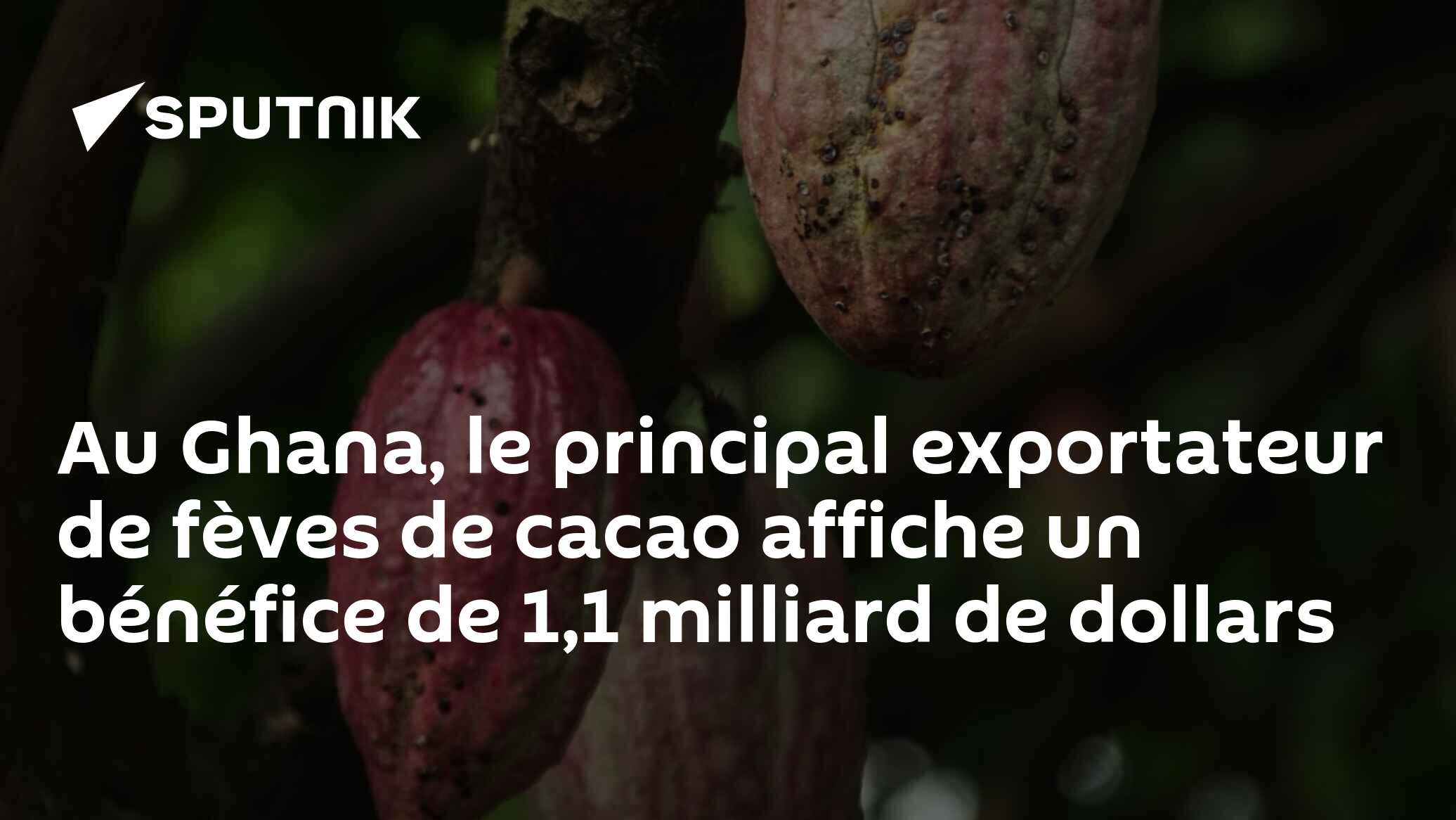 Au Ghana, le principal exportateur de fèves de cacao affiche un bénéfice de 1,1 milliard de dollars