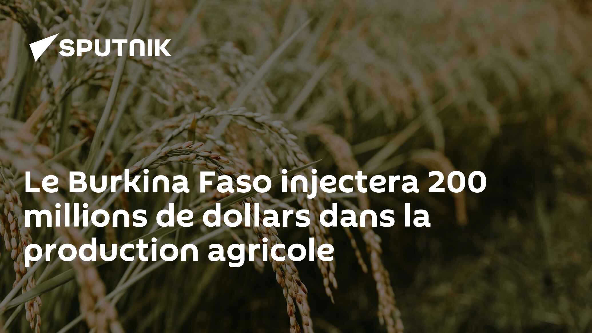 Le Burkina Faso injectera 200 millions de dollars dans la production agricole