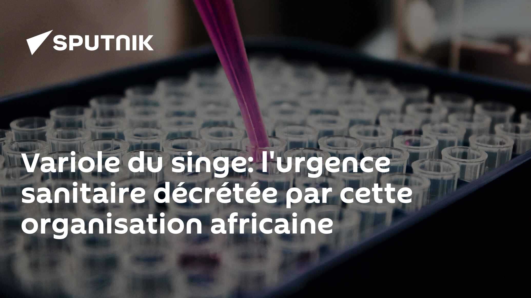 Variole du singe: l'urgence sanitaire décrétée par cette organisation africaine