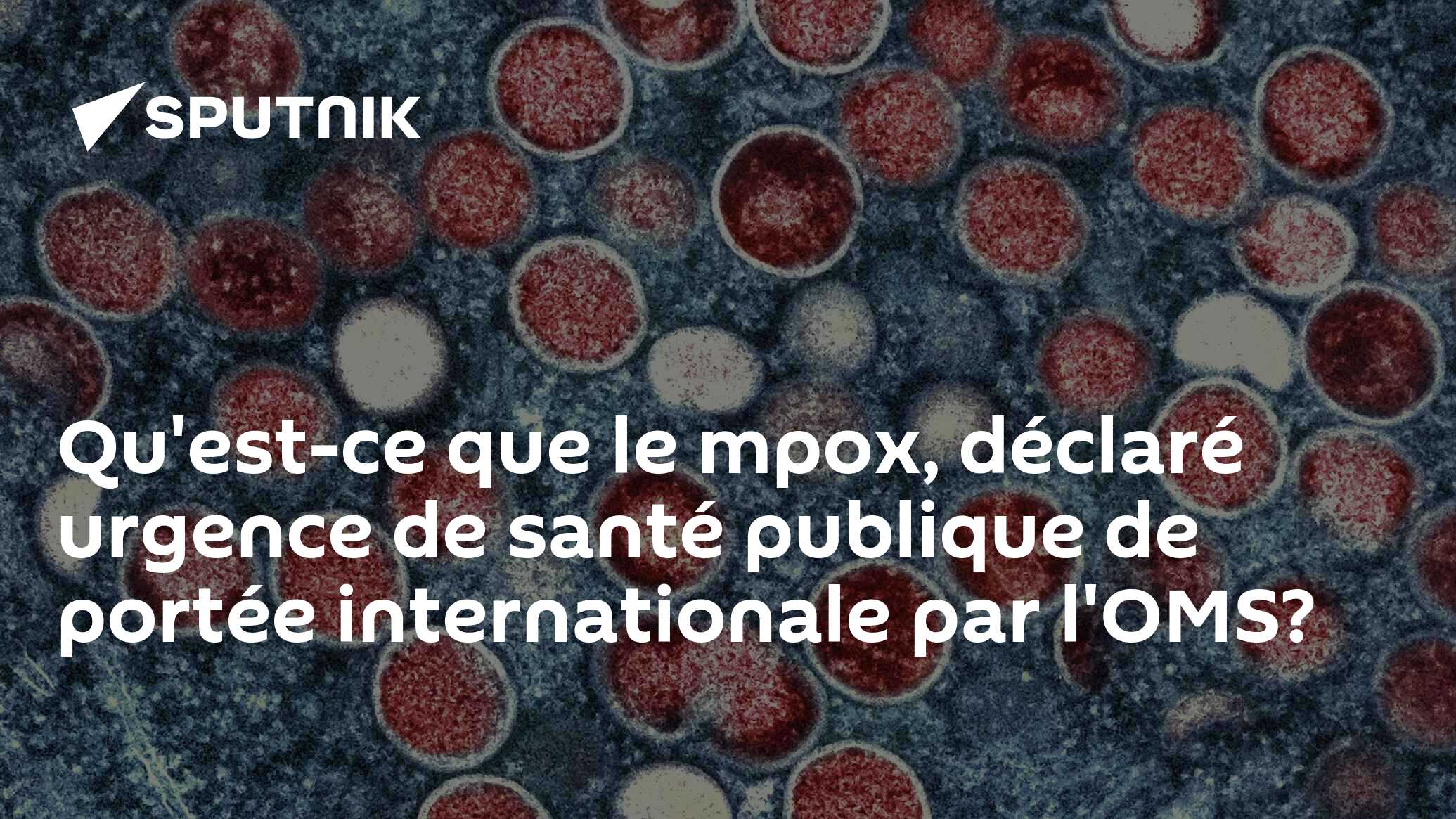 Qu'est-ce que le mpox, déclaré urgence de santé publique de portée internationale par l'OMS?