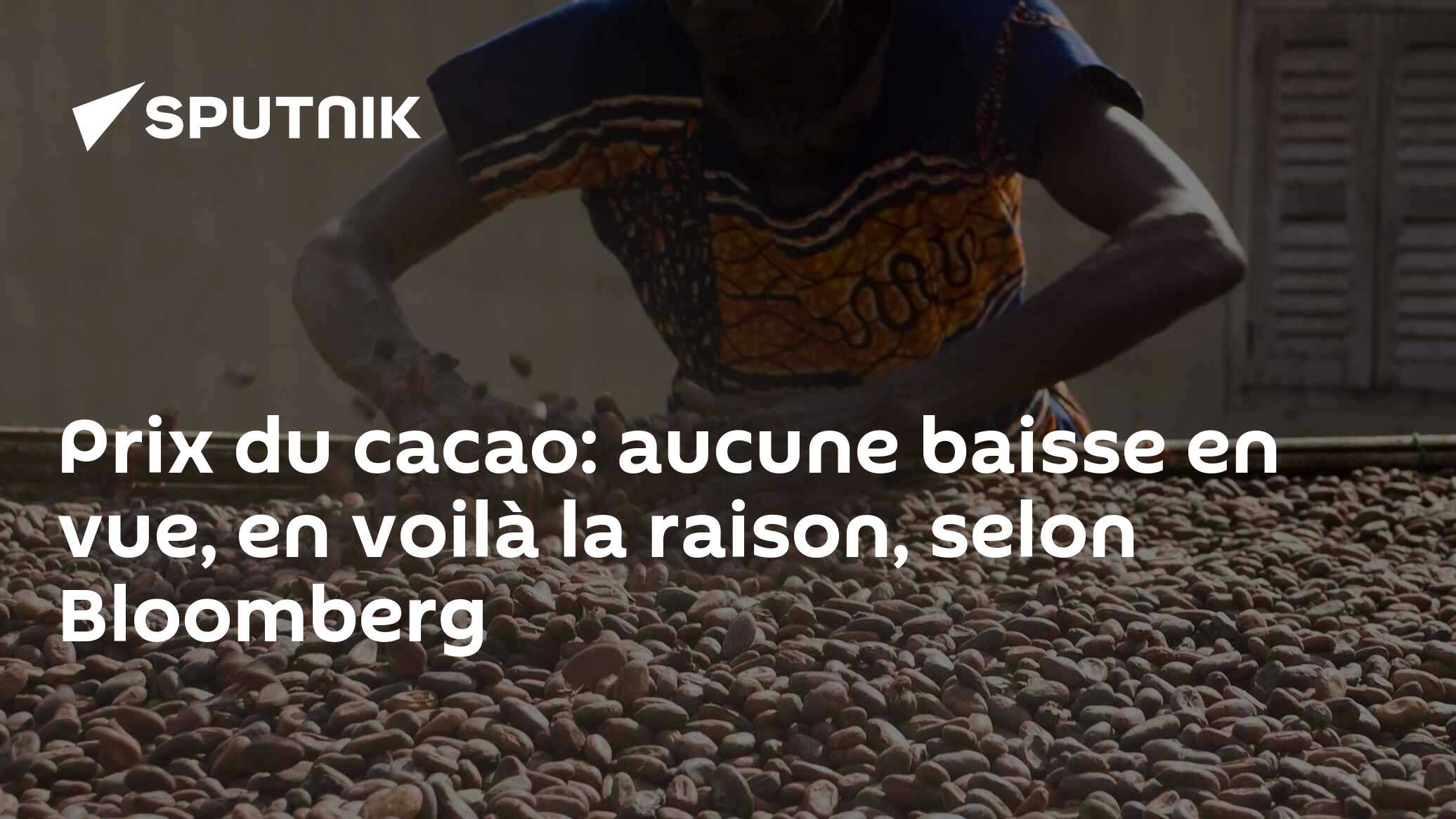 Prix du cacao: aucune baisse en vue, en voilà la raison, selon Bloomberg