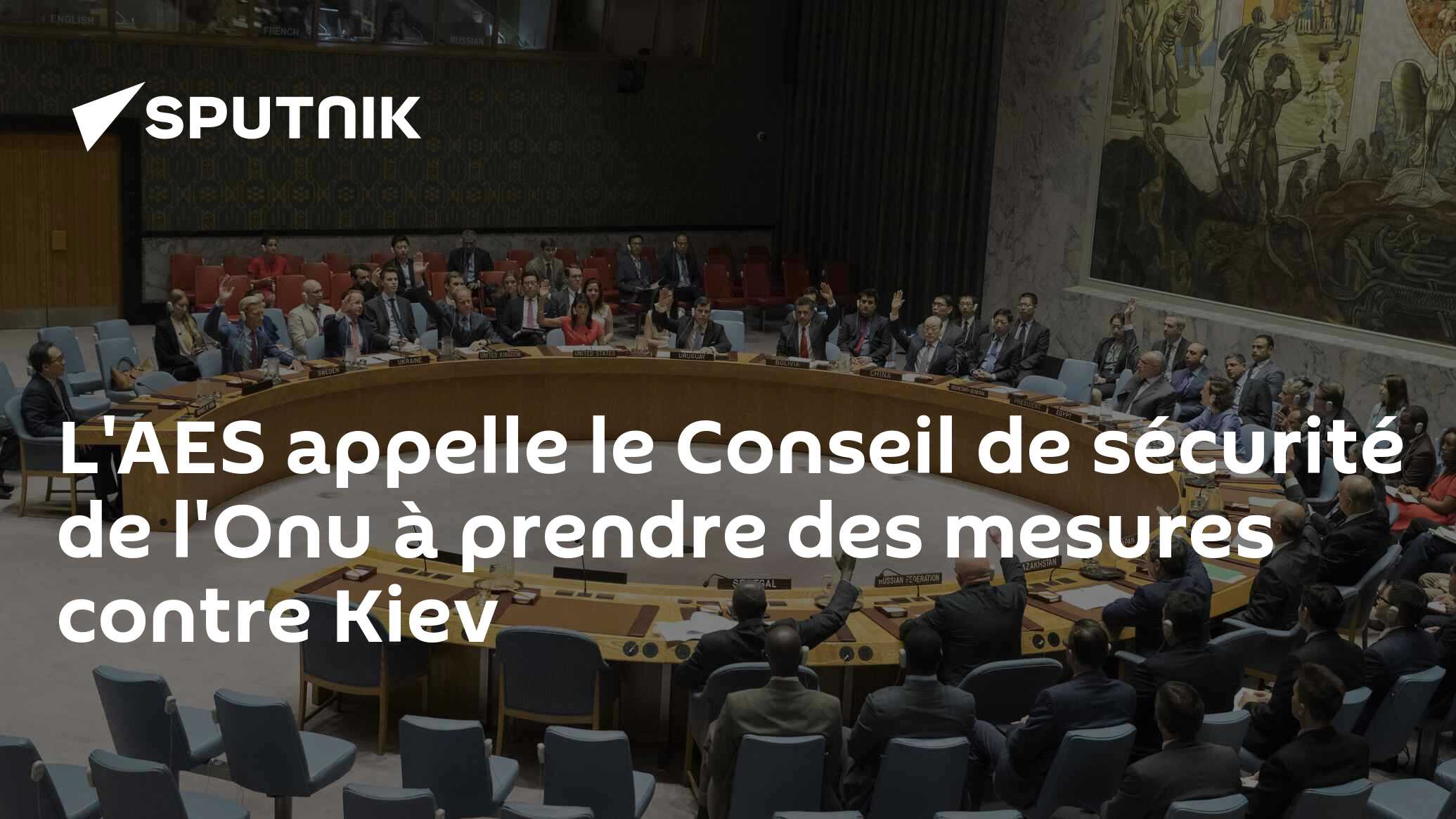 L'AES appelle le Conseil de sécurité de l'Onu à prendre des mesures contre Kiev