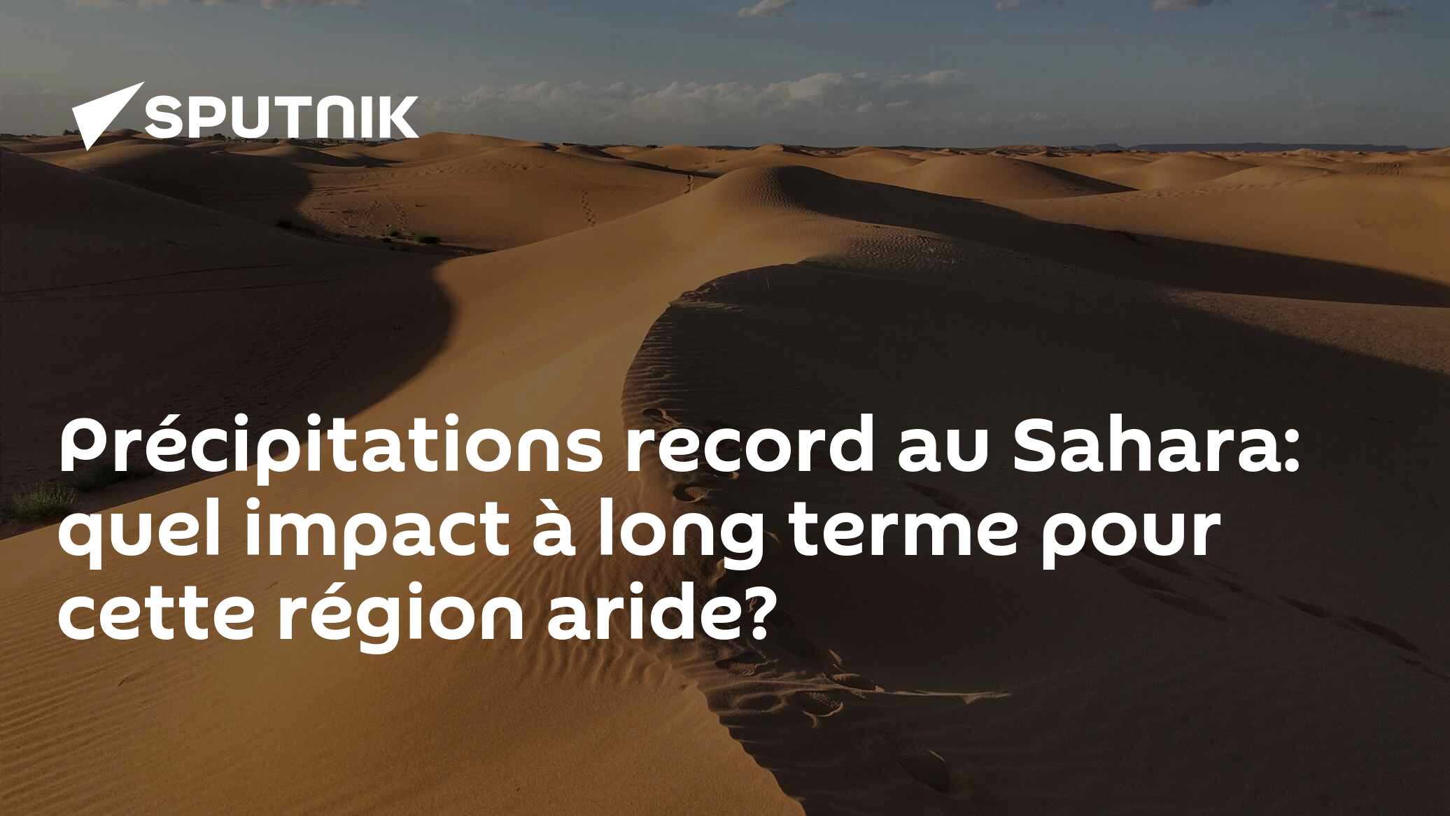 Précipitations record au Sahara: quel impact à long terme pour cette région aride?