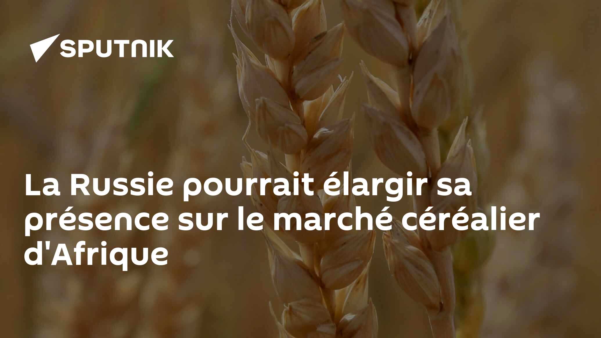 La Russie pourrait élargir son présence sur le marché céréalier d'Afrique