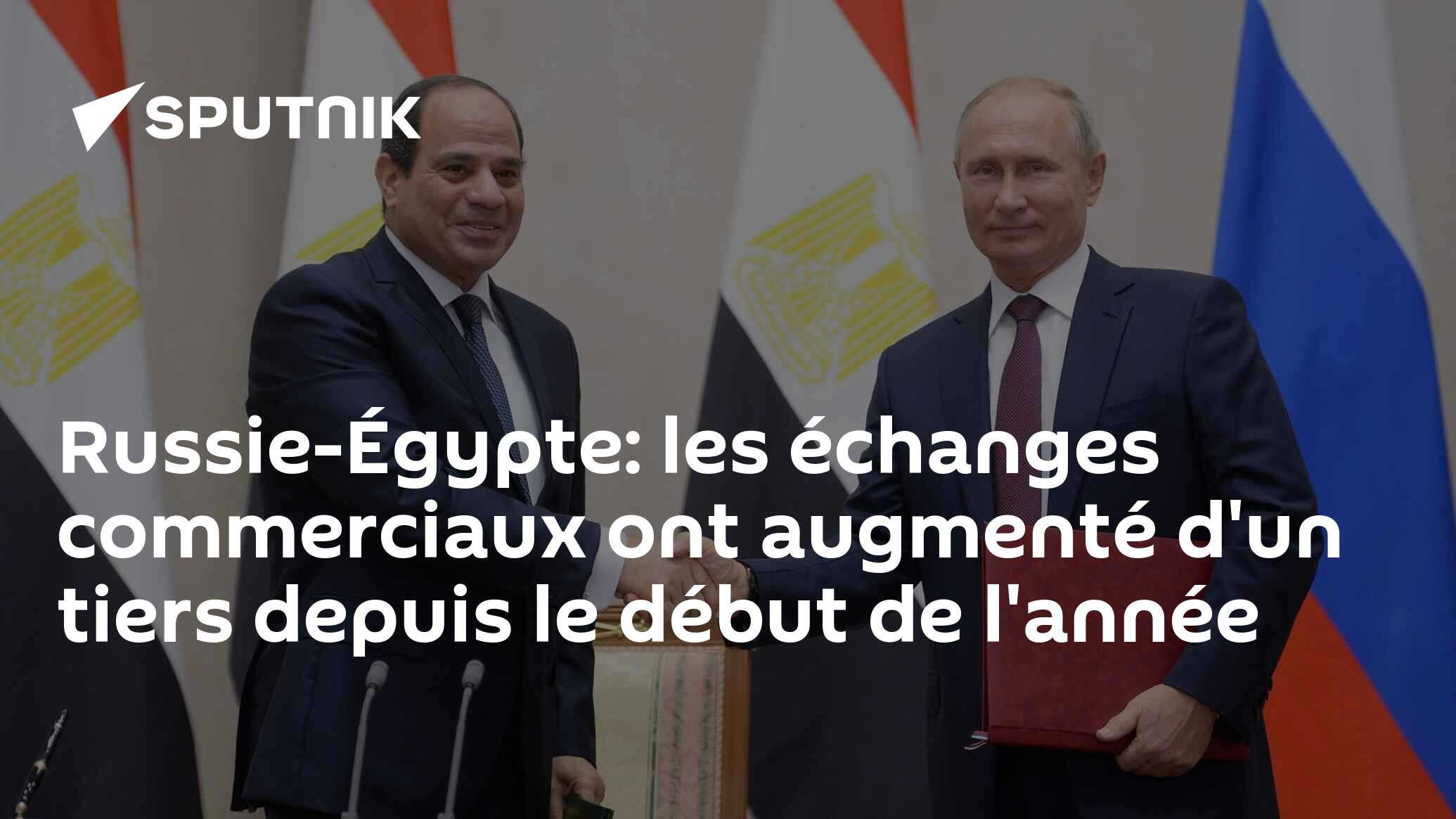 Russie-Égypte: les échanges commerciaux ont augmenté d'un tiers depuis le début de l'année