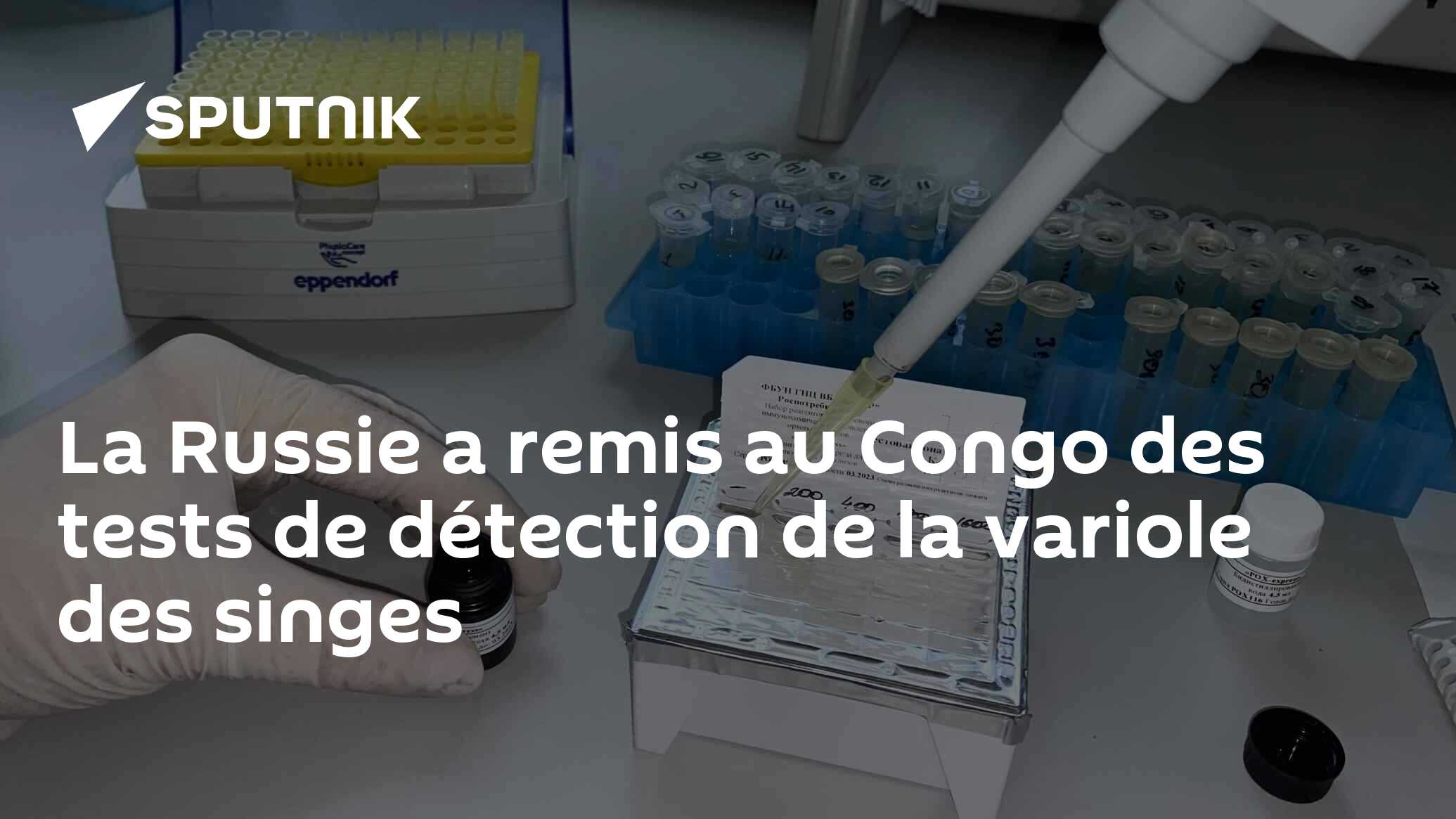 La Russie a remis au Congo des tests de détection de la variole des singes